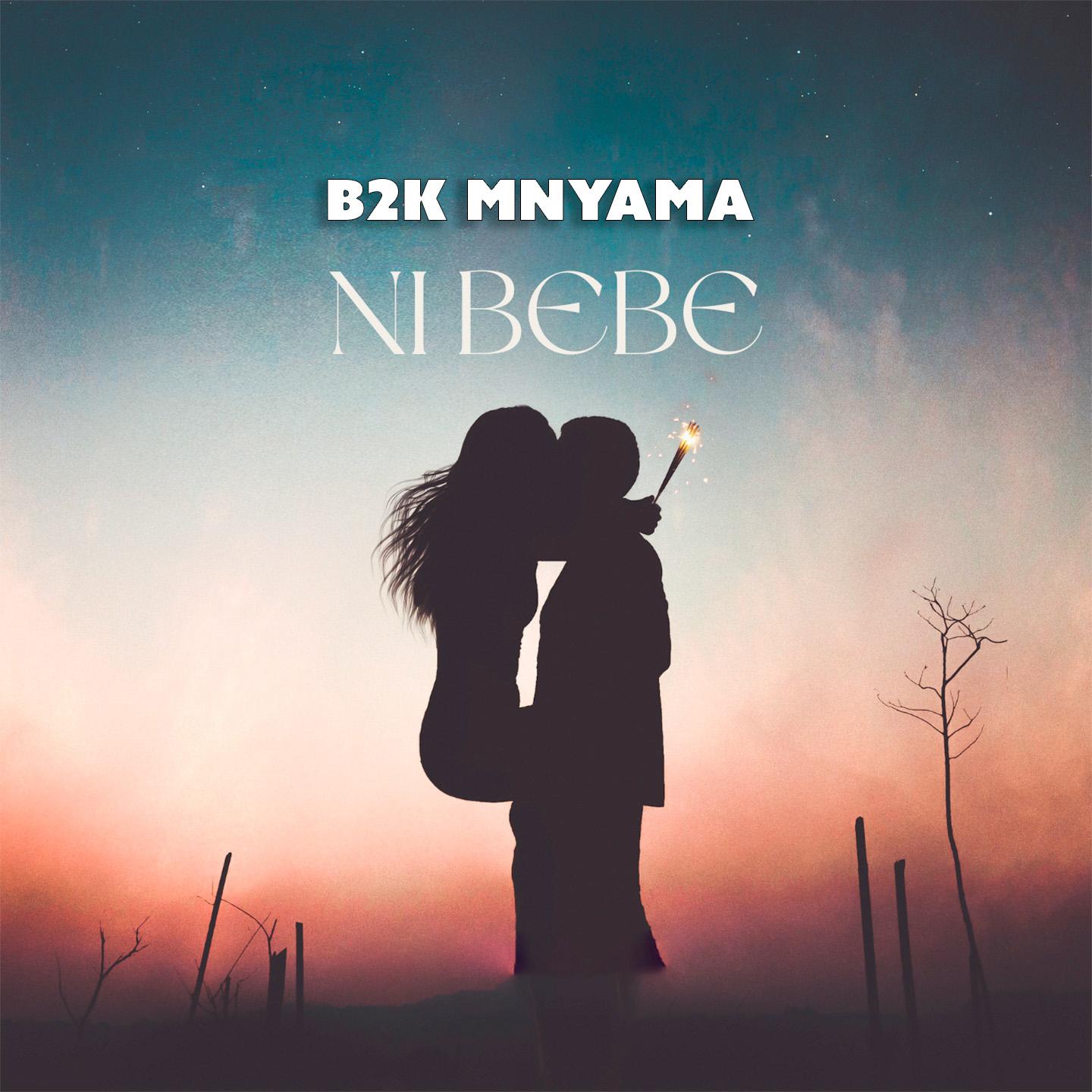 Постер альбома Ni Bebe