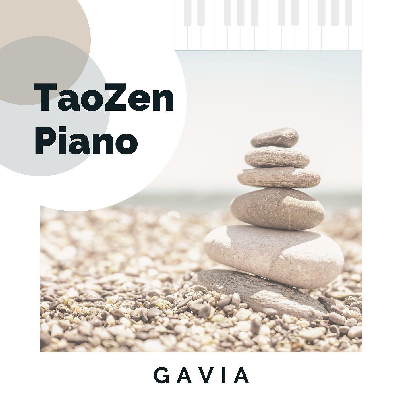 Постер альбома Taozen Piano