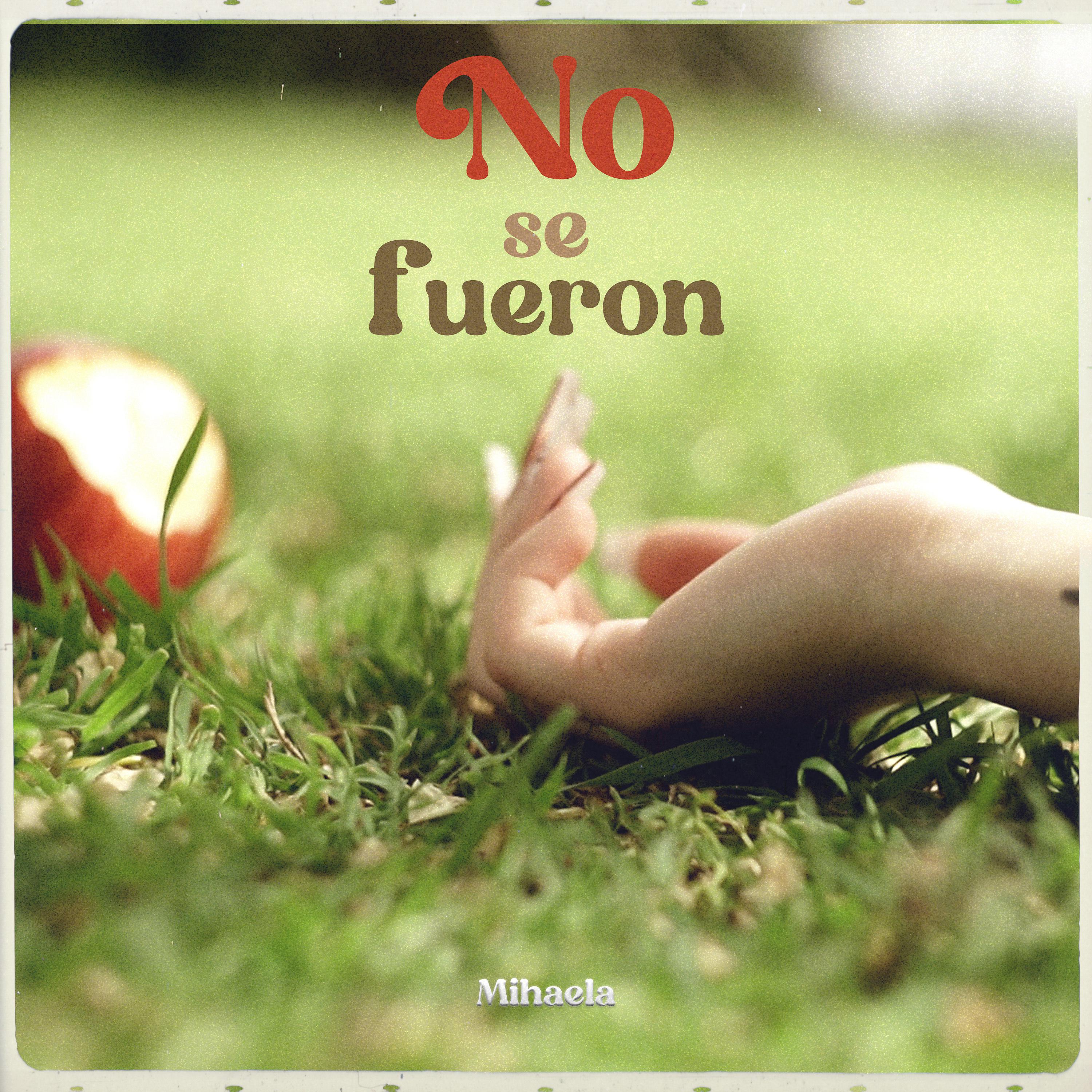 Постер альбома No Se Fueron