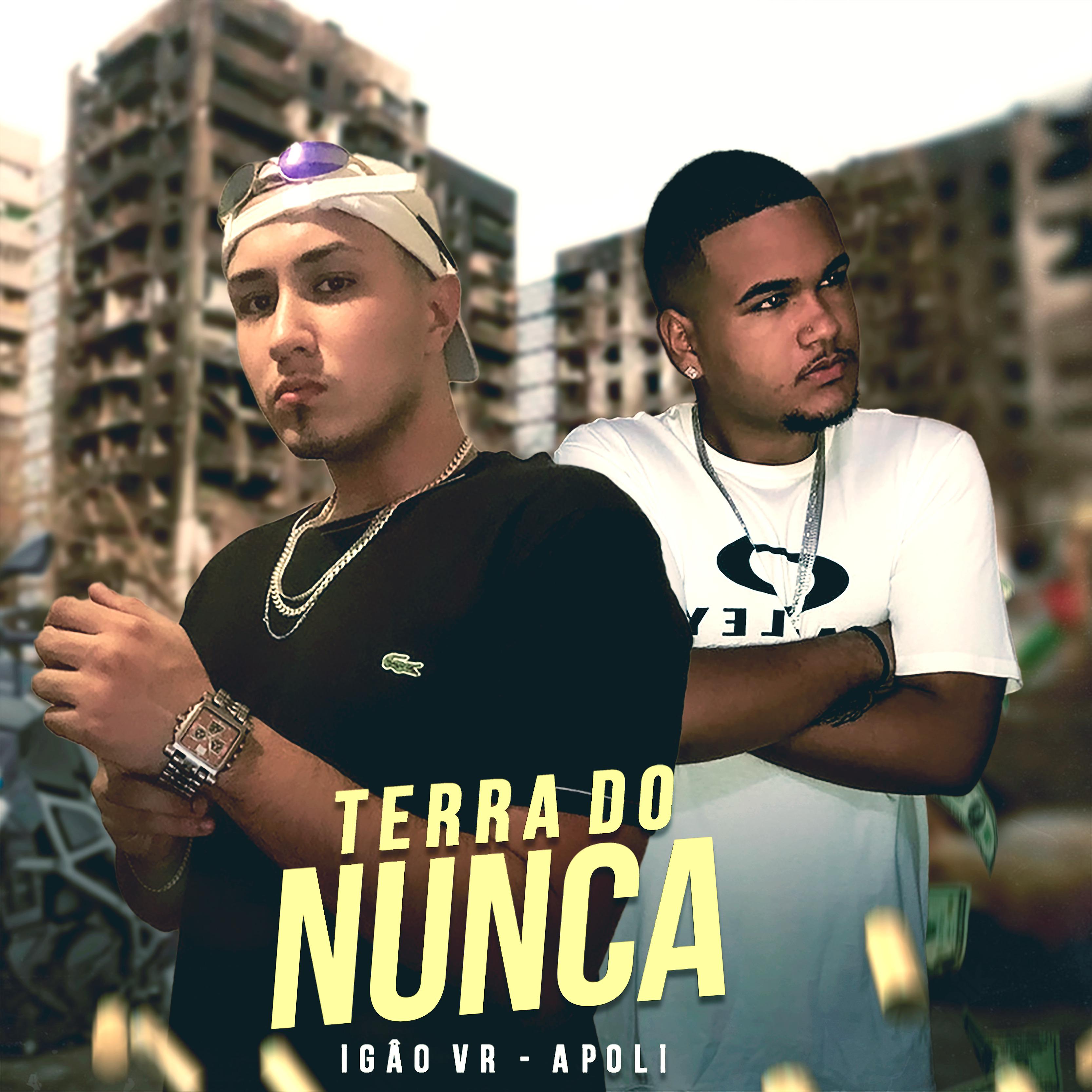 Постер альбома Terra do Nunca