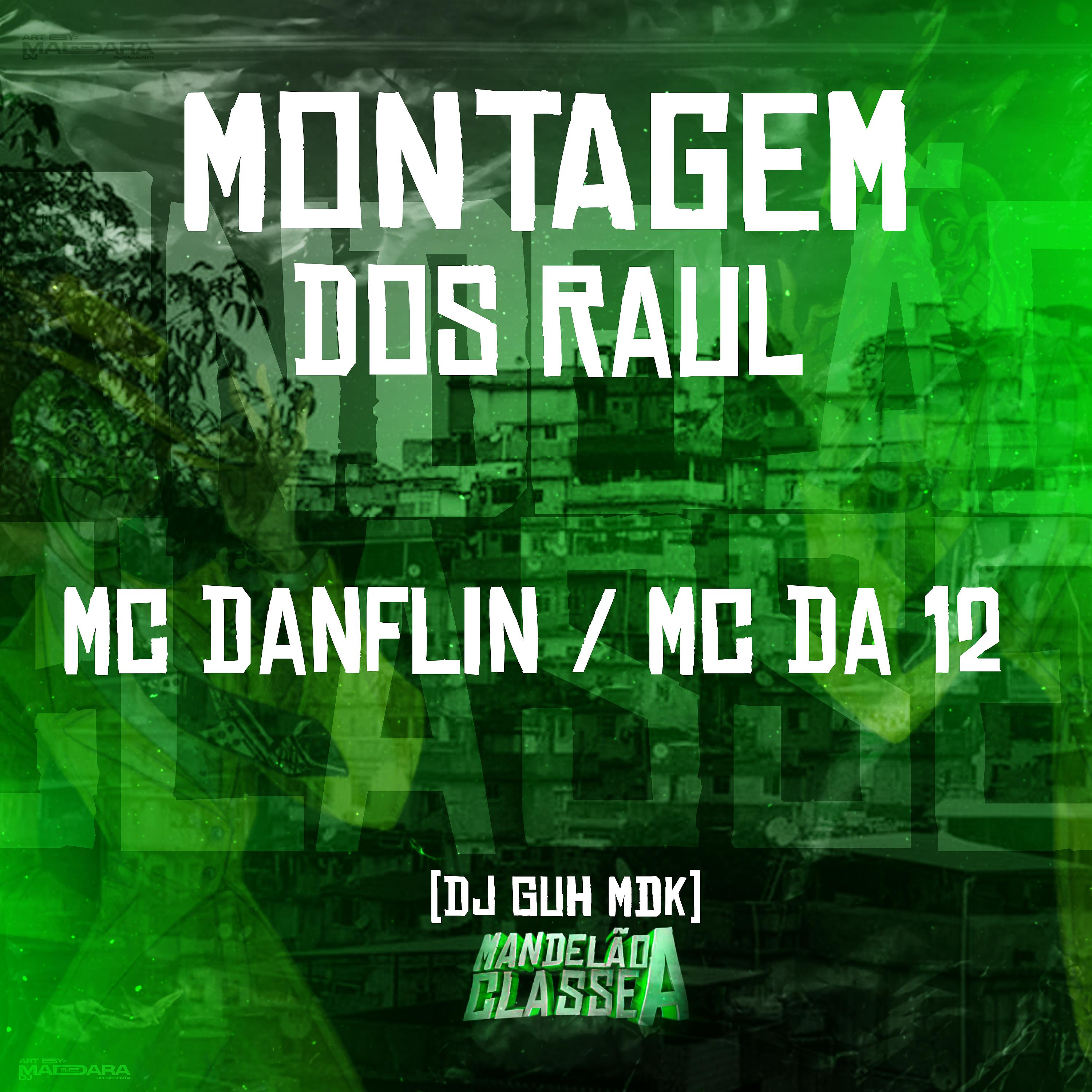 Постер альбома Montagem dos Raul