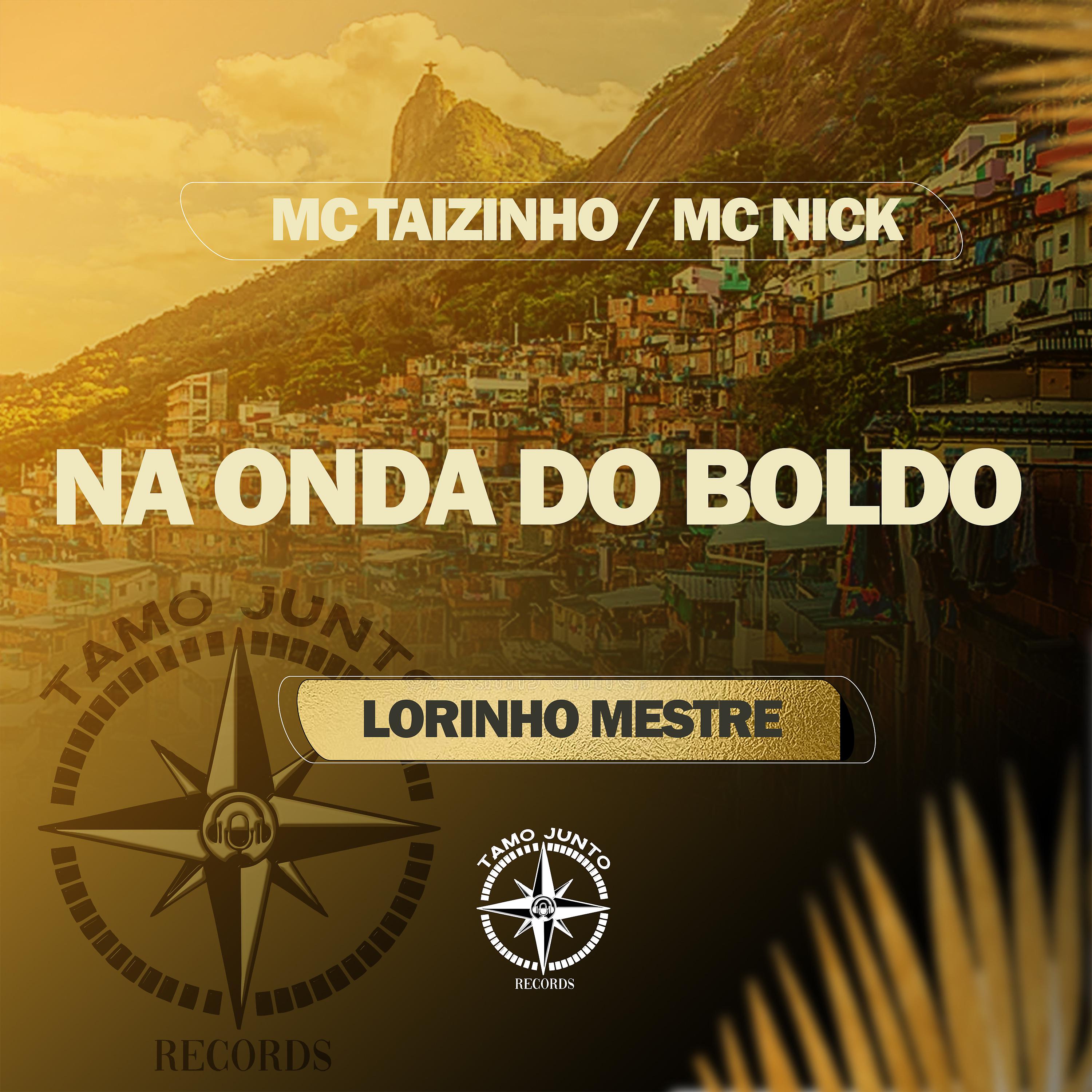 Постер альбома Na Onda do Boldo