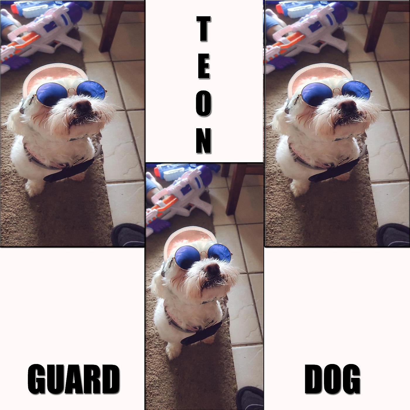Постер альбома Guard Dog