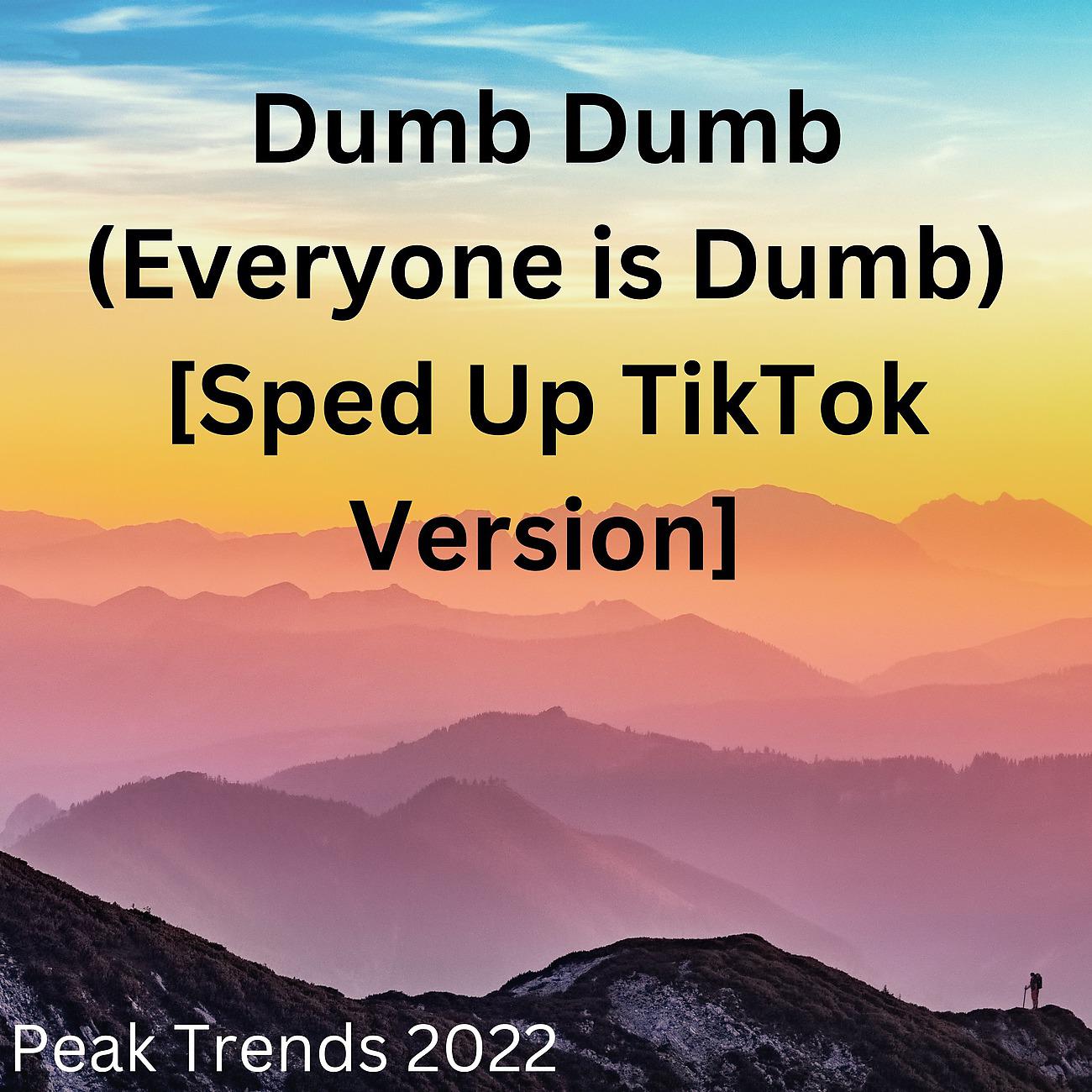 Постер альбома Dumb Dumb (Everyone is Dumb) [Sped Up TikTok Version]