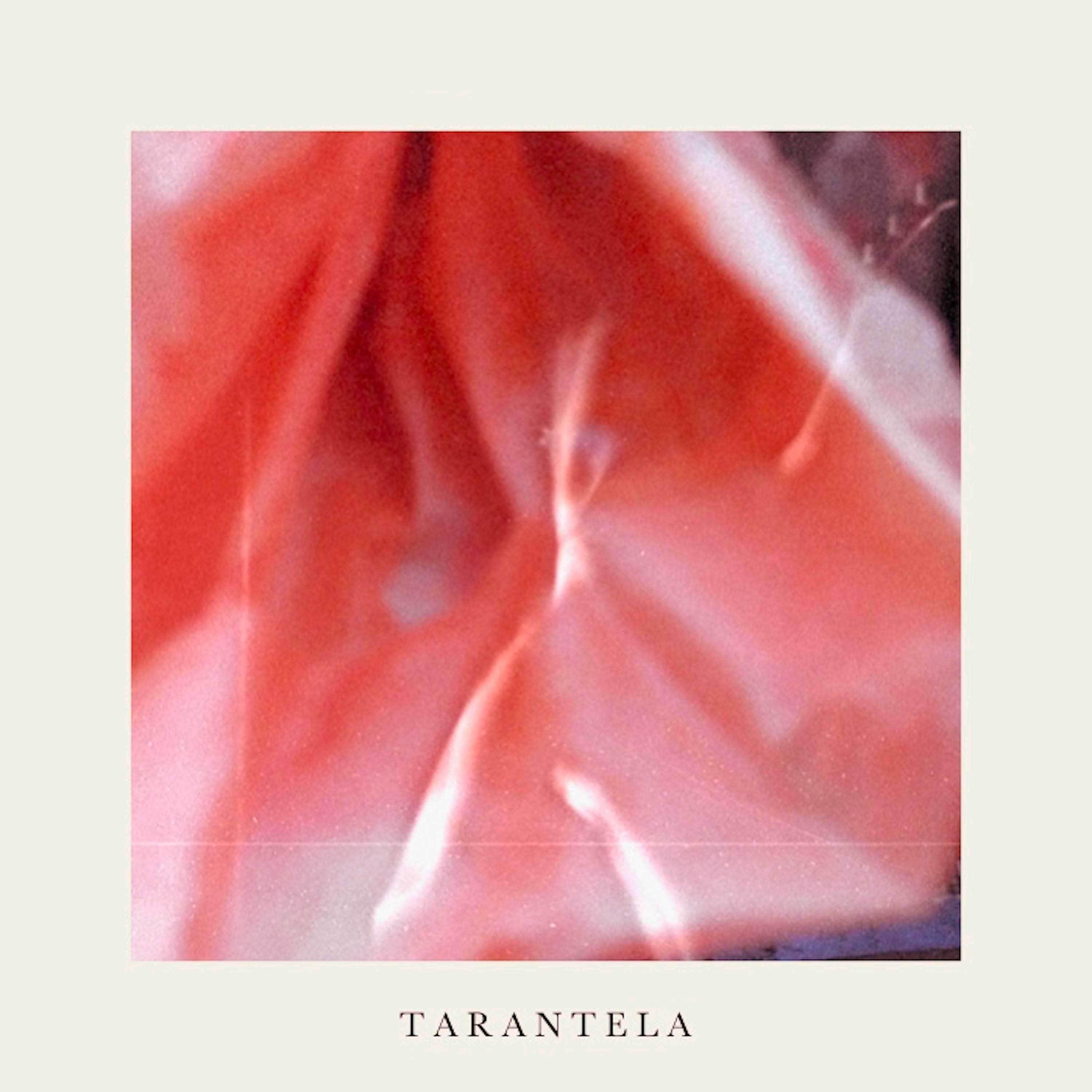Постер альбома Tarantela