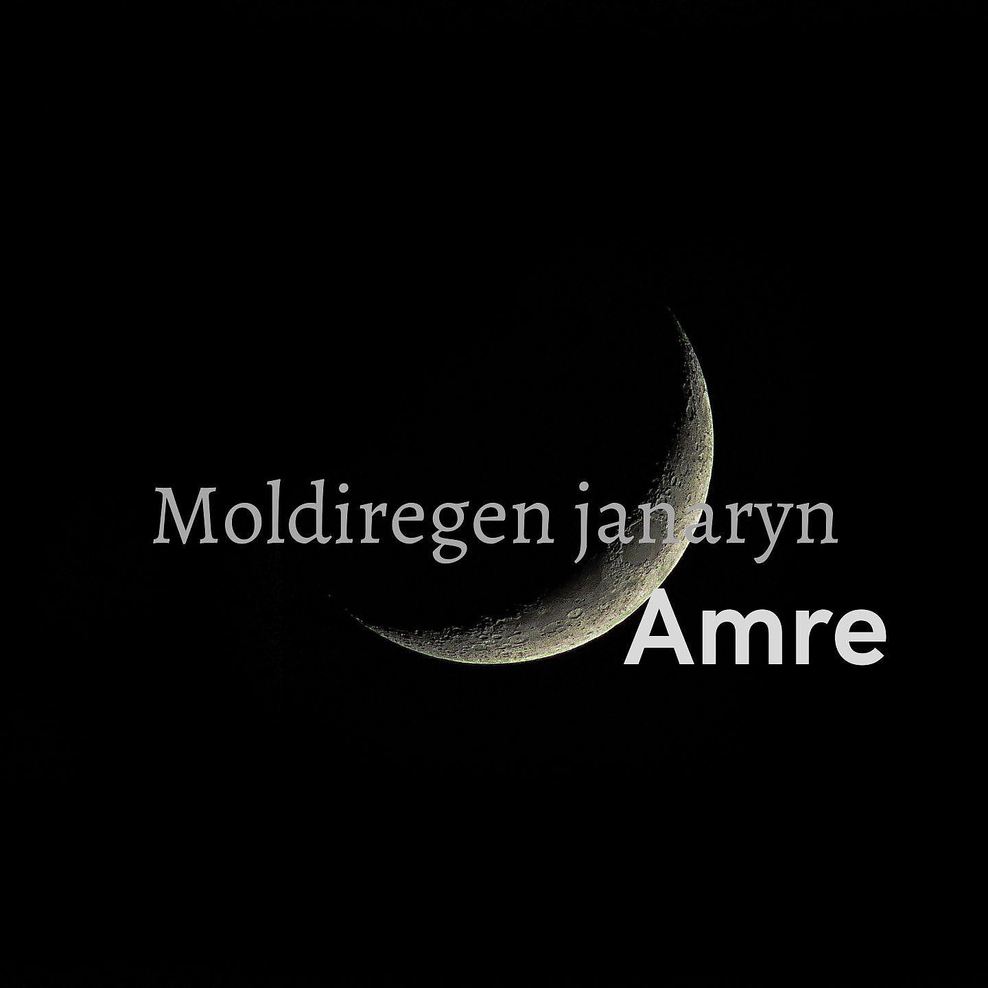 Постер альбома Moldiregen janaryn