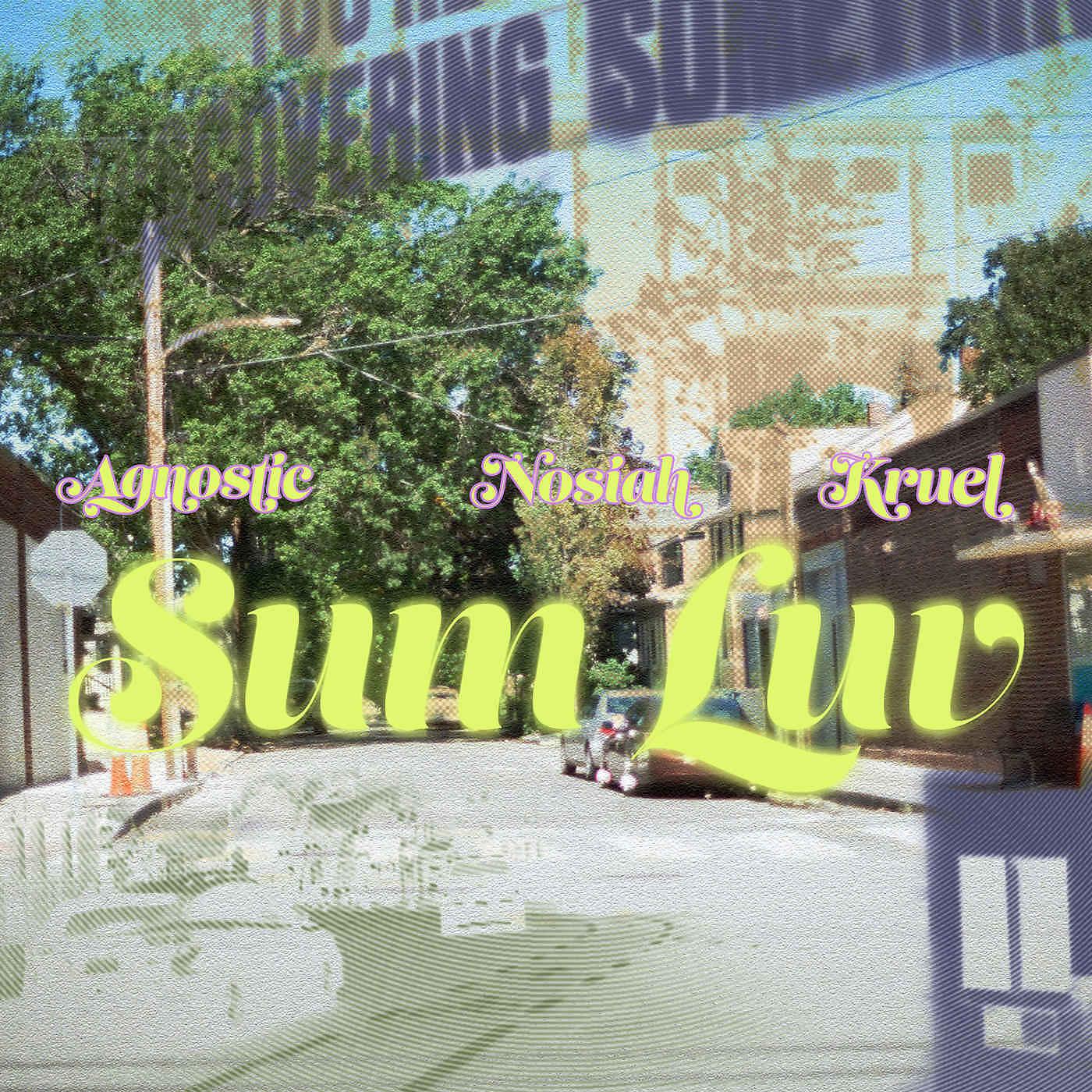 Постер альбома Sum Luv