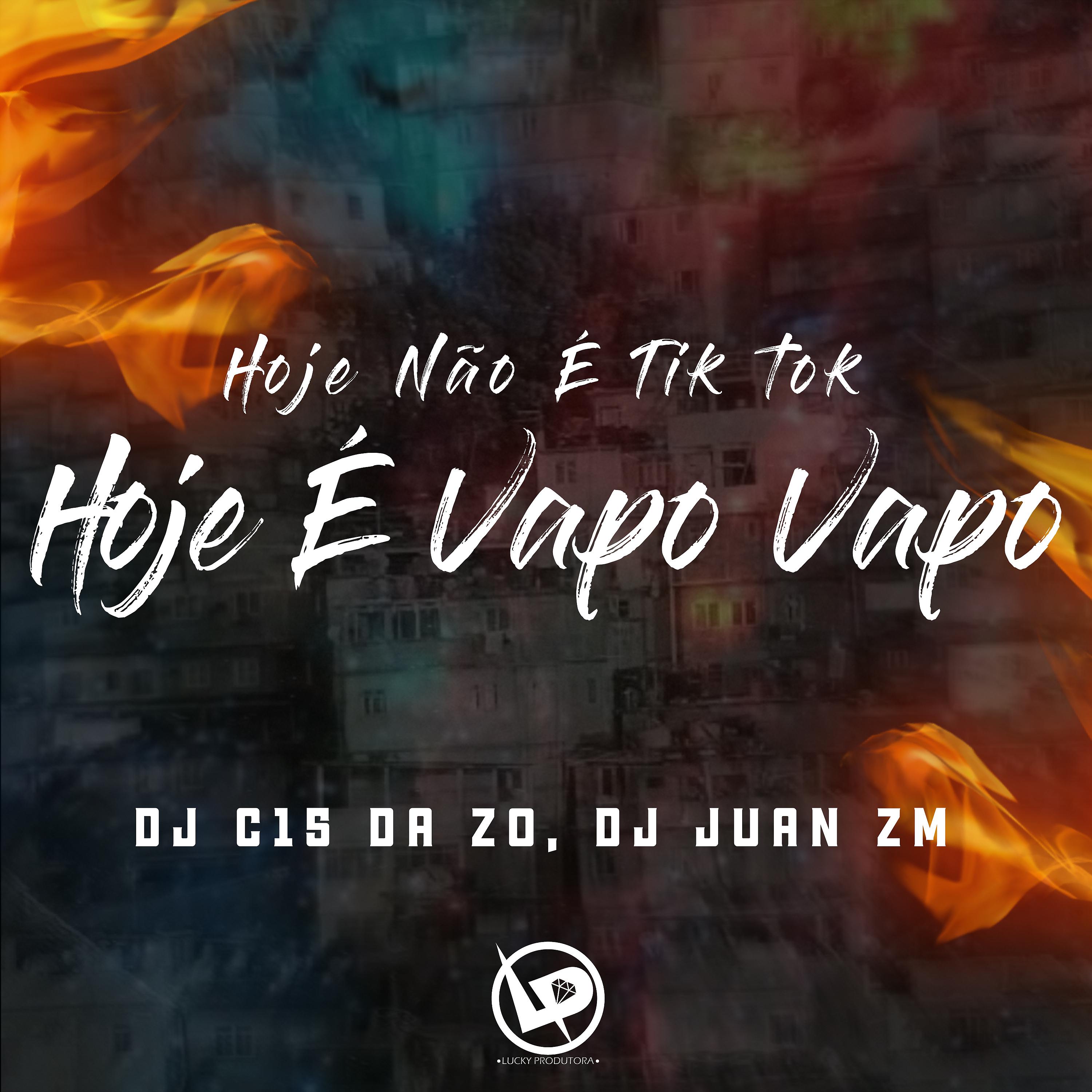Постер альбома Hoje Não É Tik Tok, Hoje É Vapo Vapo