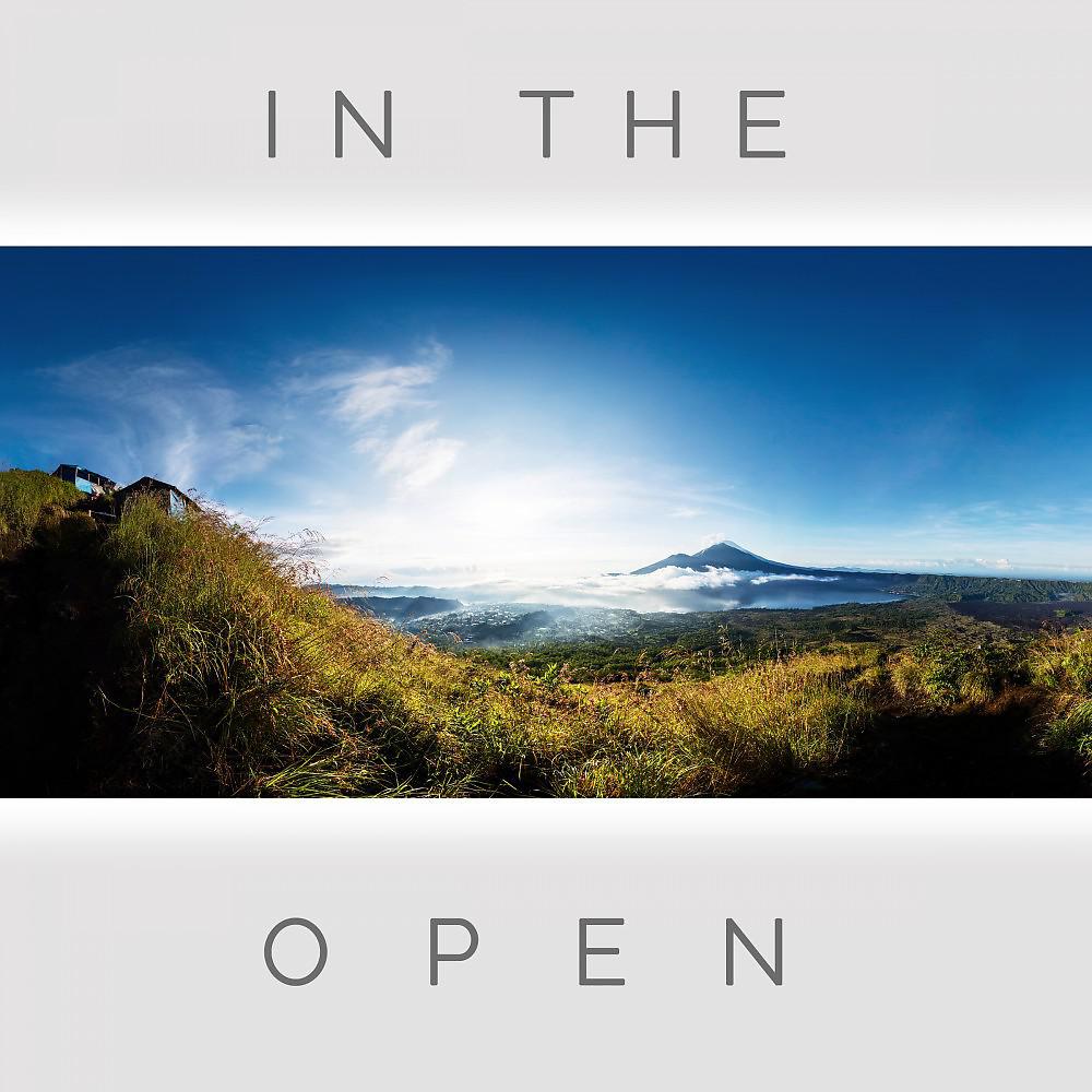 Постер альбома In the Open