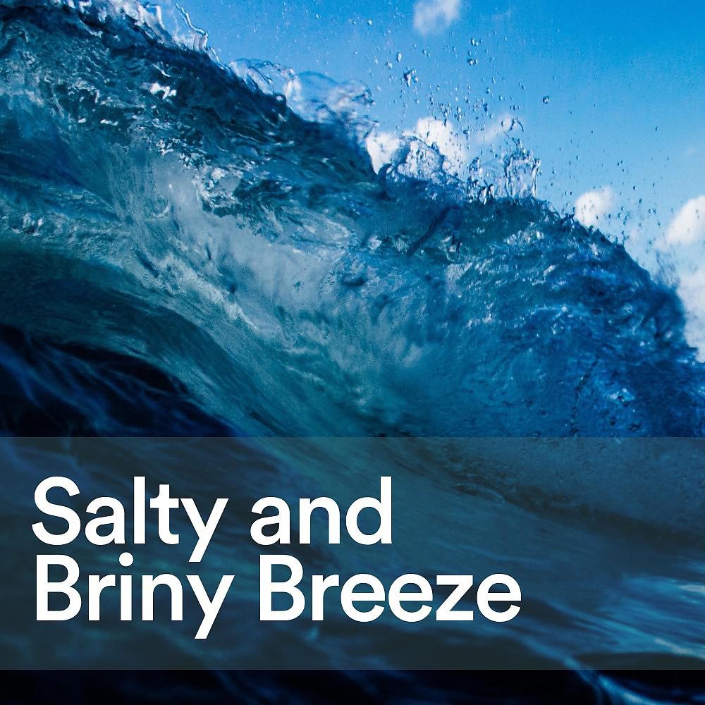 Постер альбома Salty and Briny Breeze