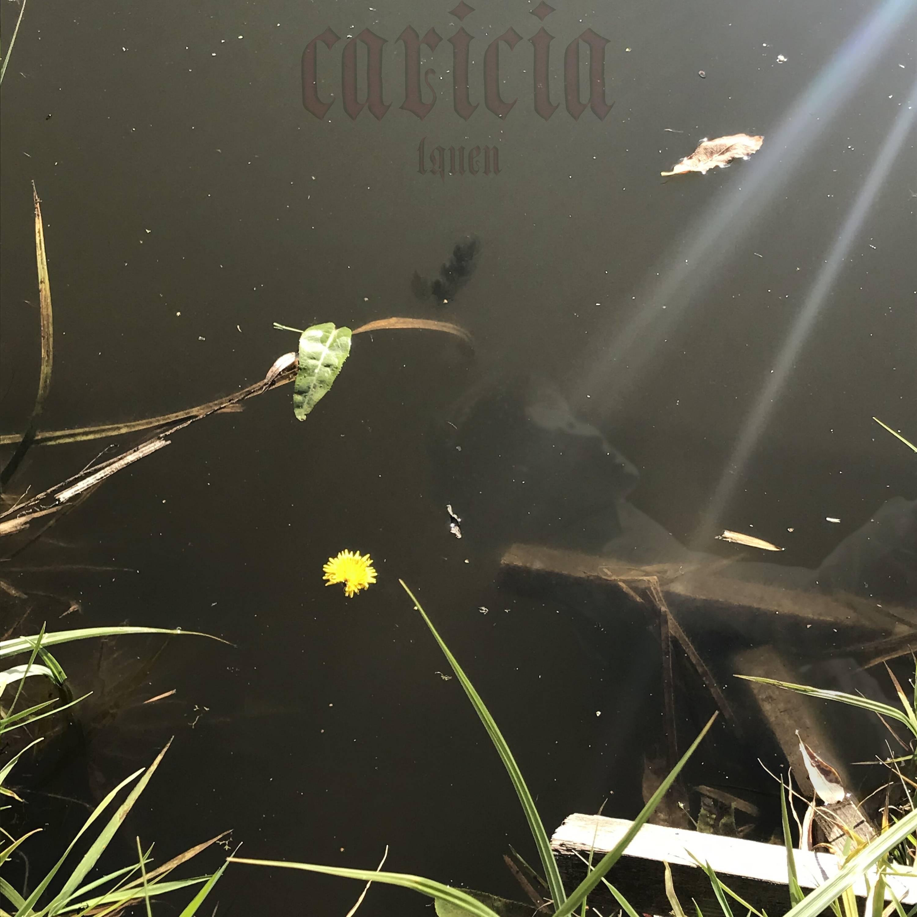 Постер альбома CarÍcia