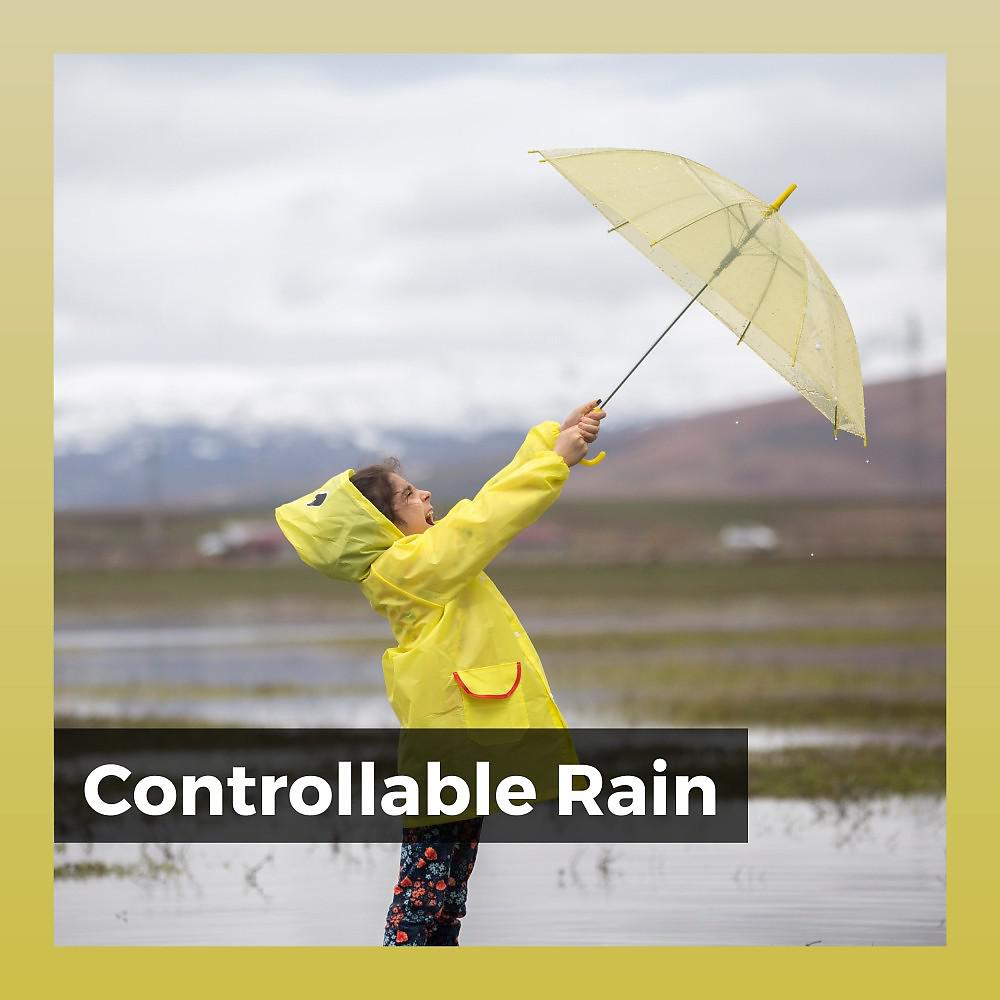 Постер альбома Controllable Rain