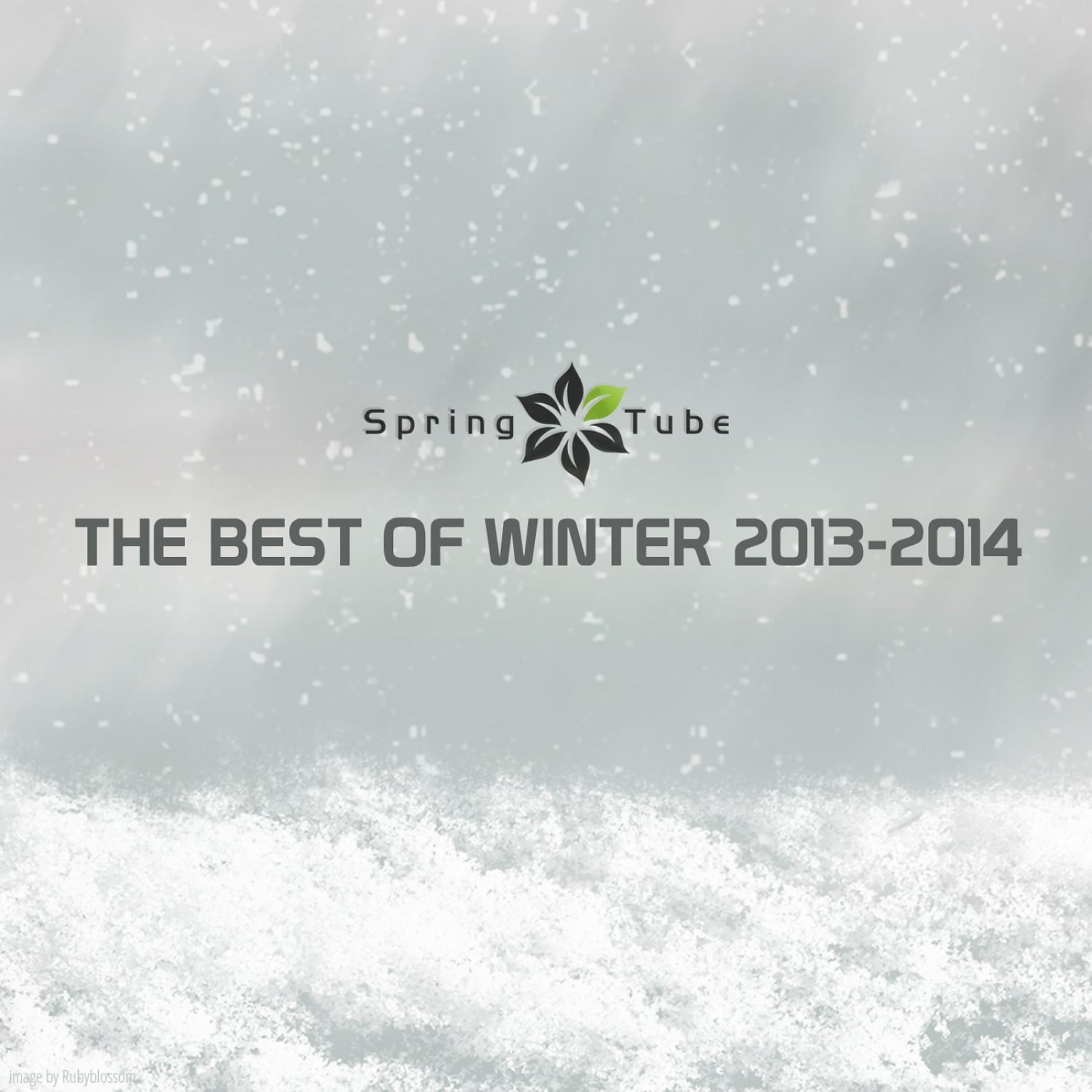Постер альбома The Best of Winter 2013-2014