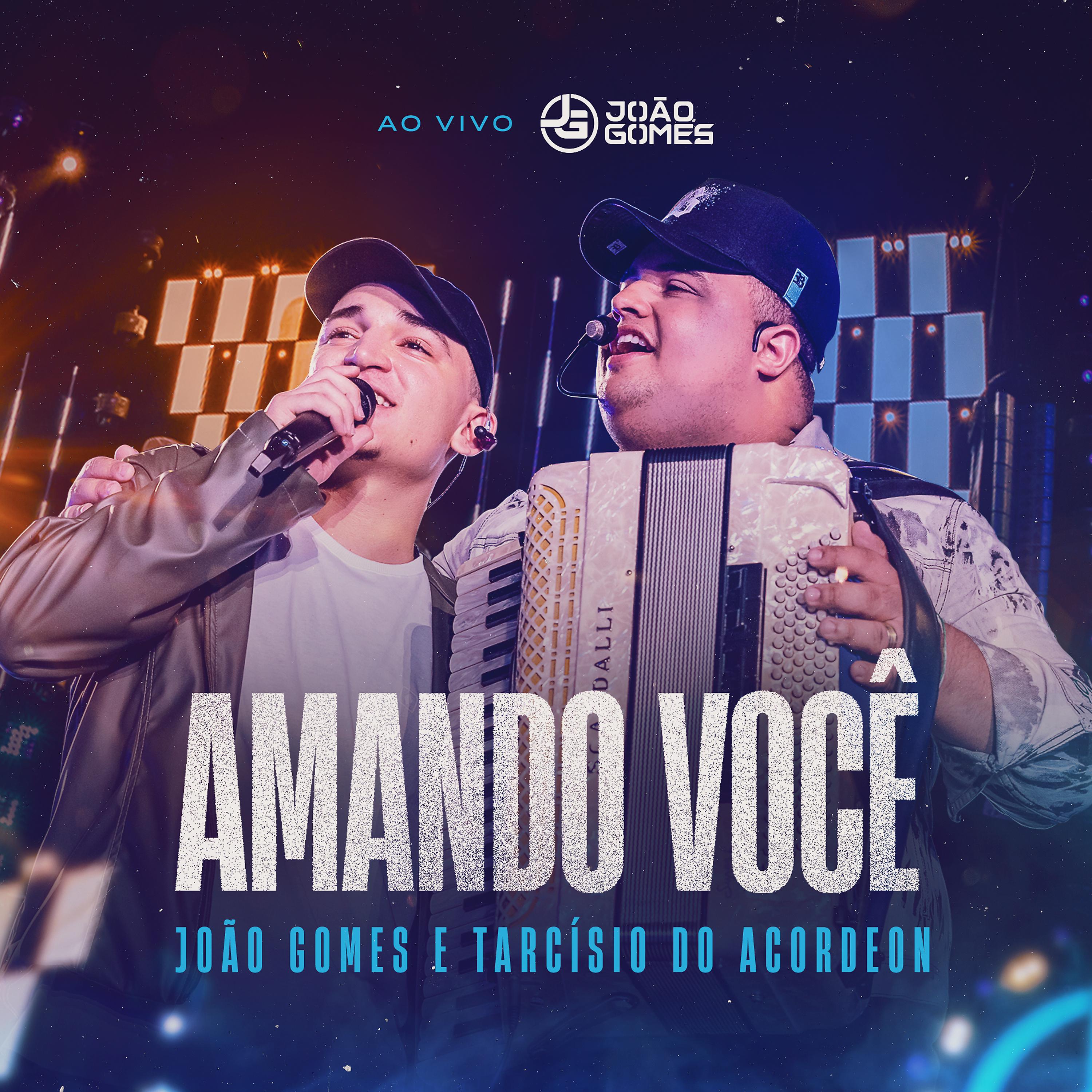 Постер альбома Amando Você