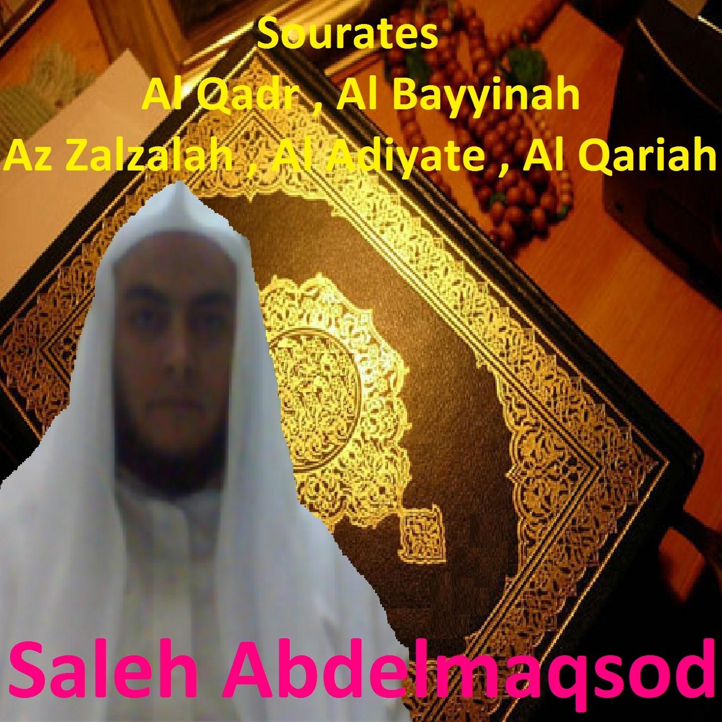 Постер альбома Sourates Al Qadr, Al Bayyinah, Az Zalzalah, Al Adiyate, Al Qariah