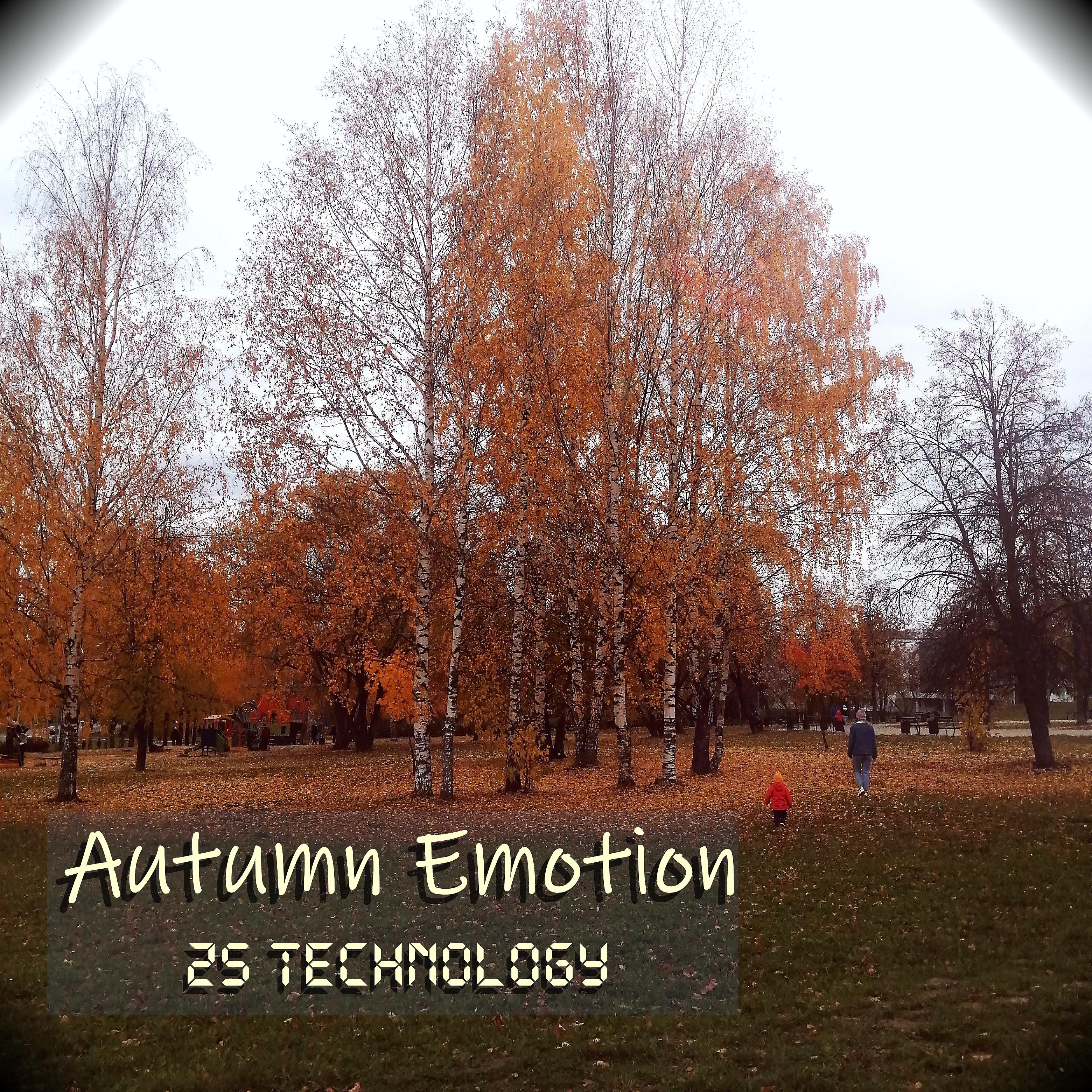 Постер альбома Autumn Emotion