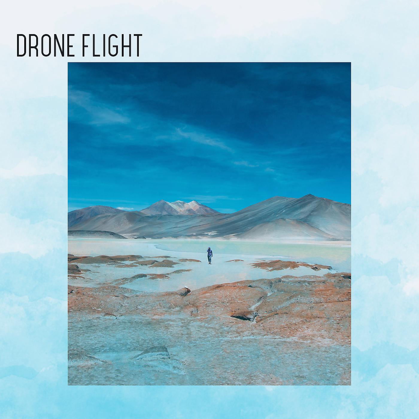 Постер альбома Drone Flight