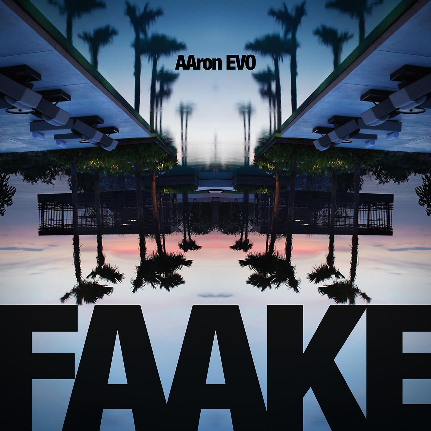 Постер альбома Faake