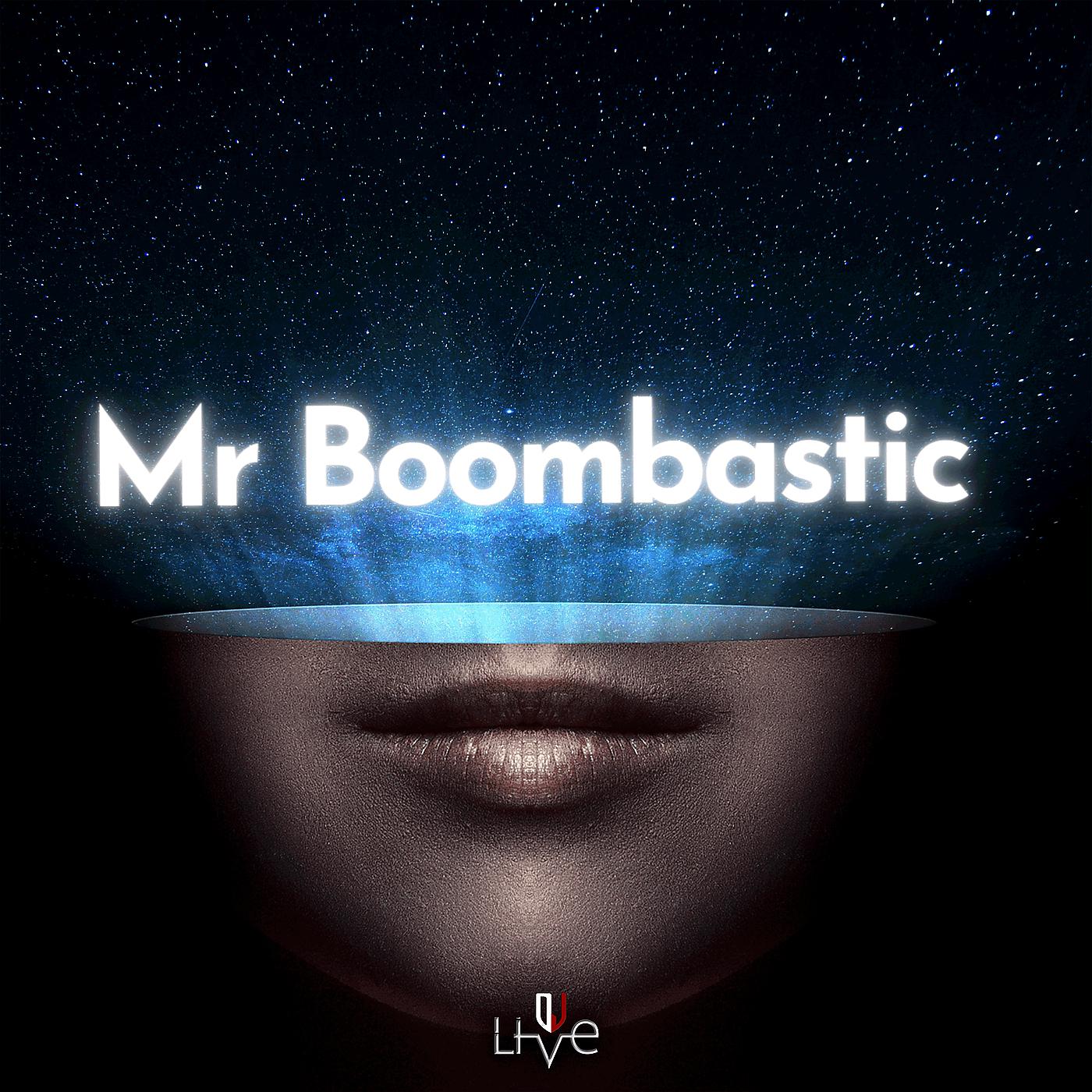 Постер альбома Mr Boombastic