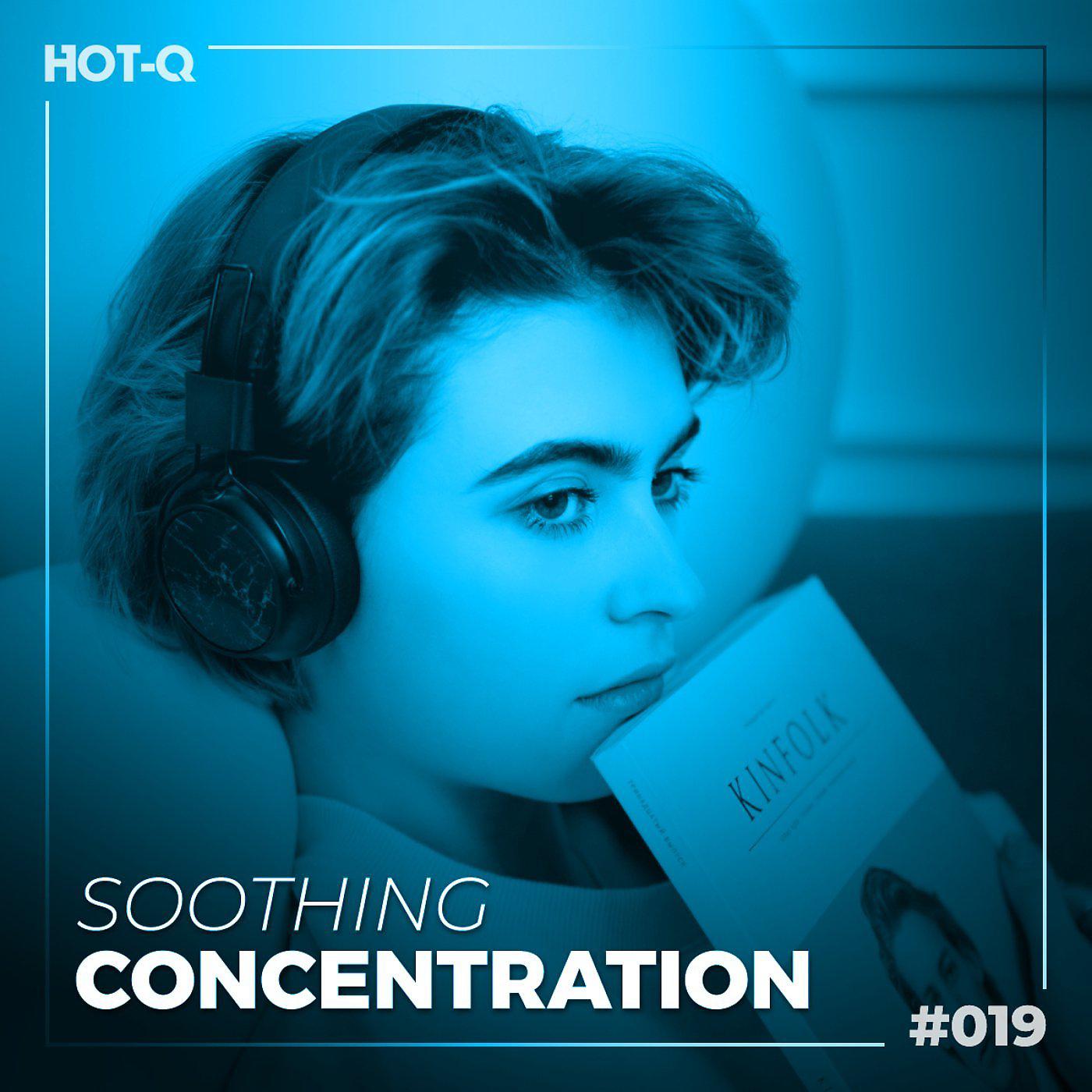 Постер альбома Soothing Concentration 019