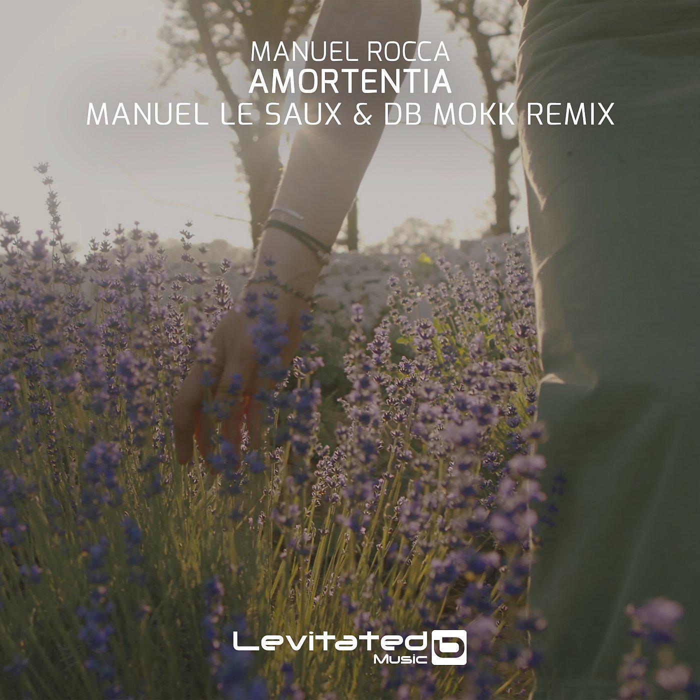 Постер альбома Amortentia (Manuel Le Saux & Db Mokk Remix)