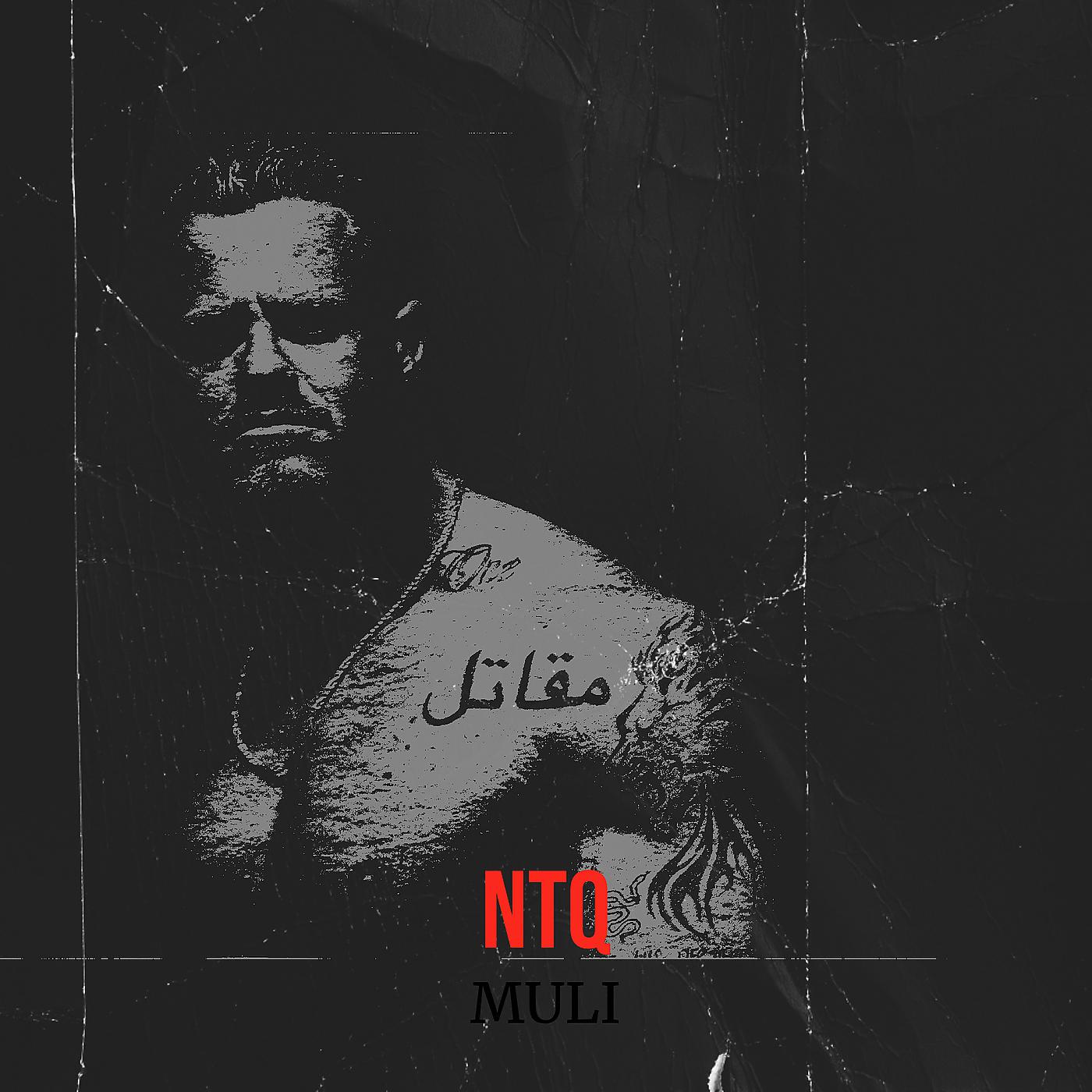 Постер альбома Ntq