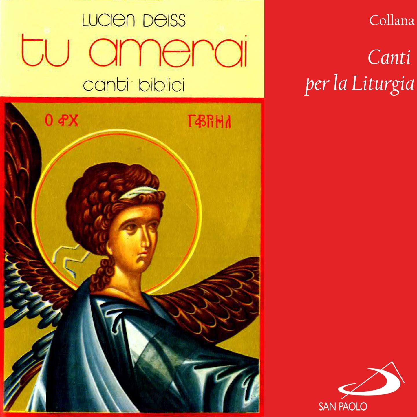 Постер альбома Collana canti per la liturgia: Tu amerai