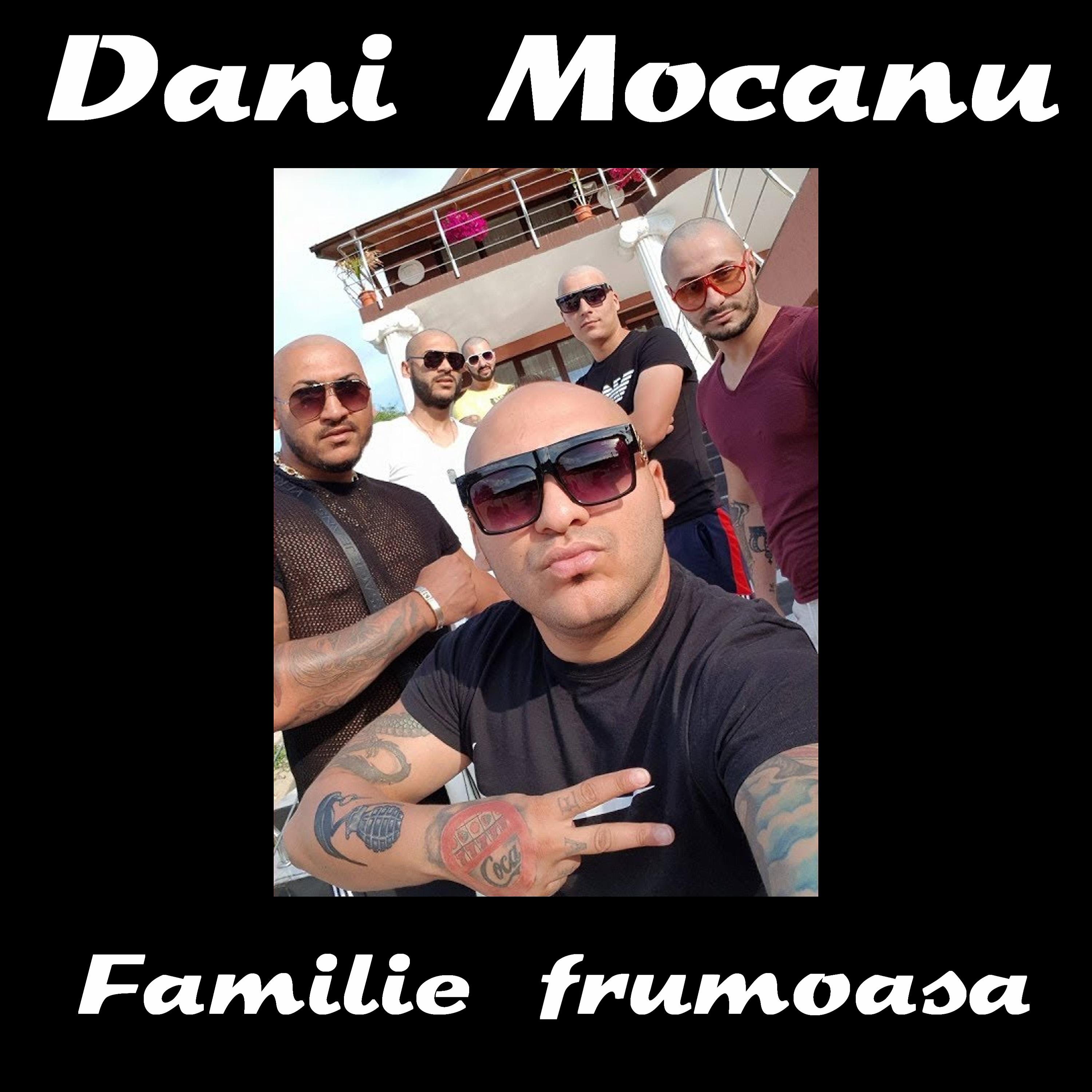 Постер альбома Familie frumoasa