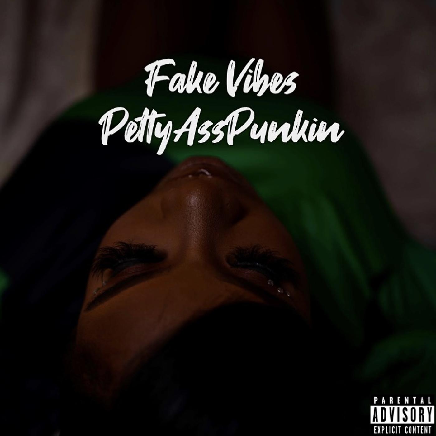 Постер альбома Fake Vibes