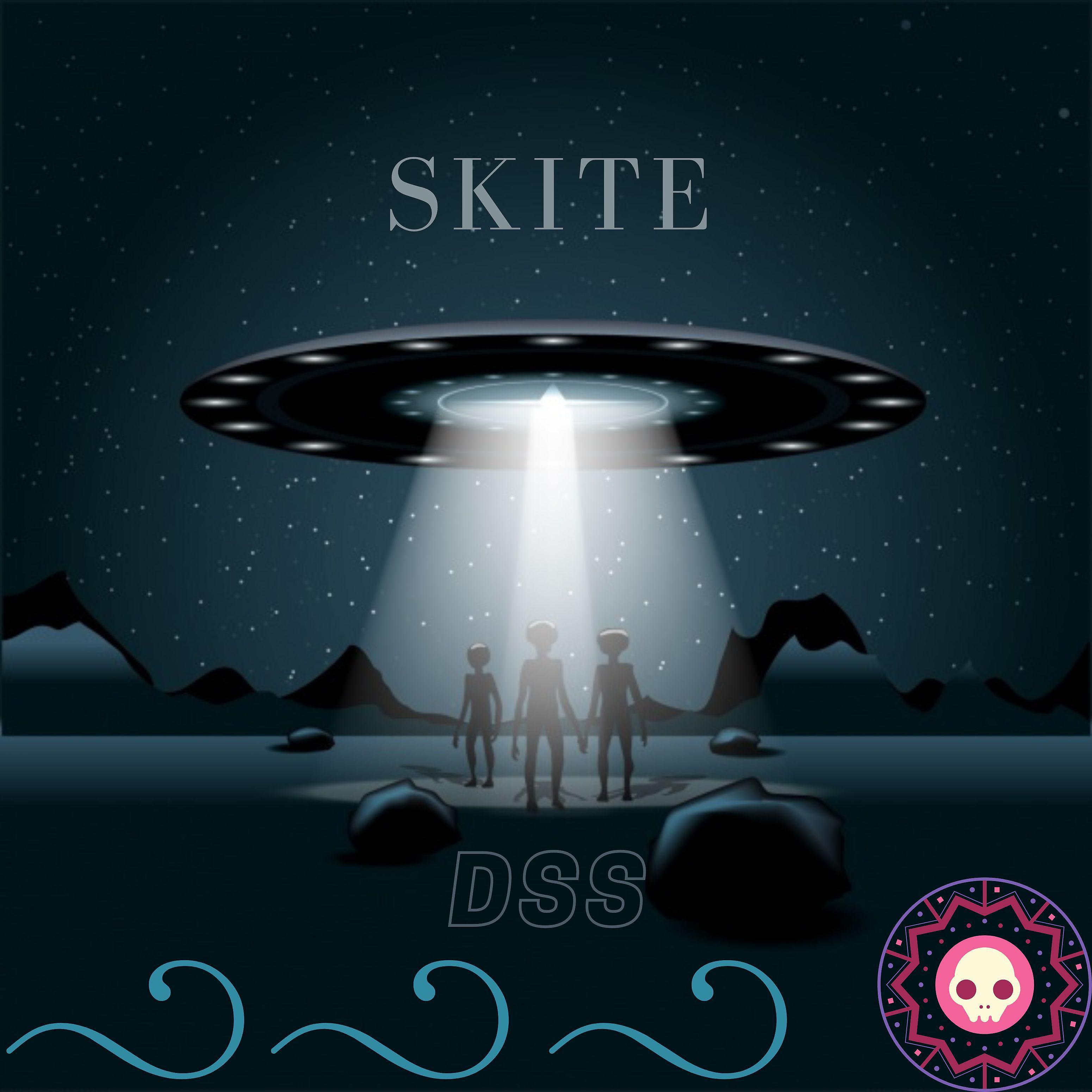 Постер альбома Skite