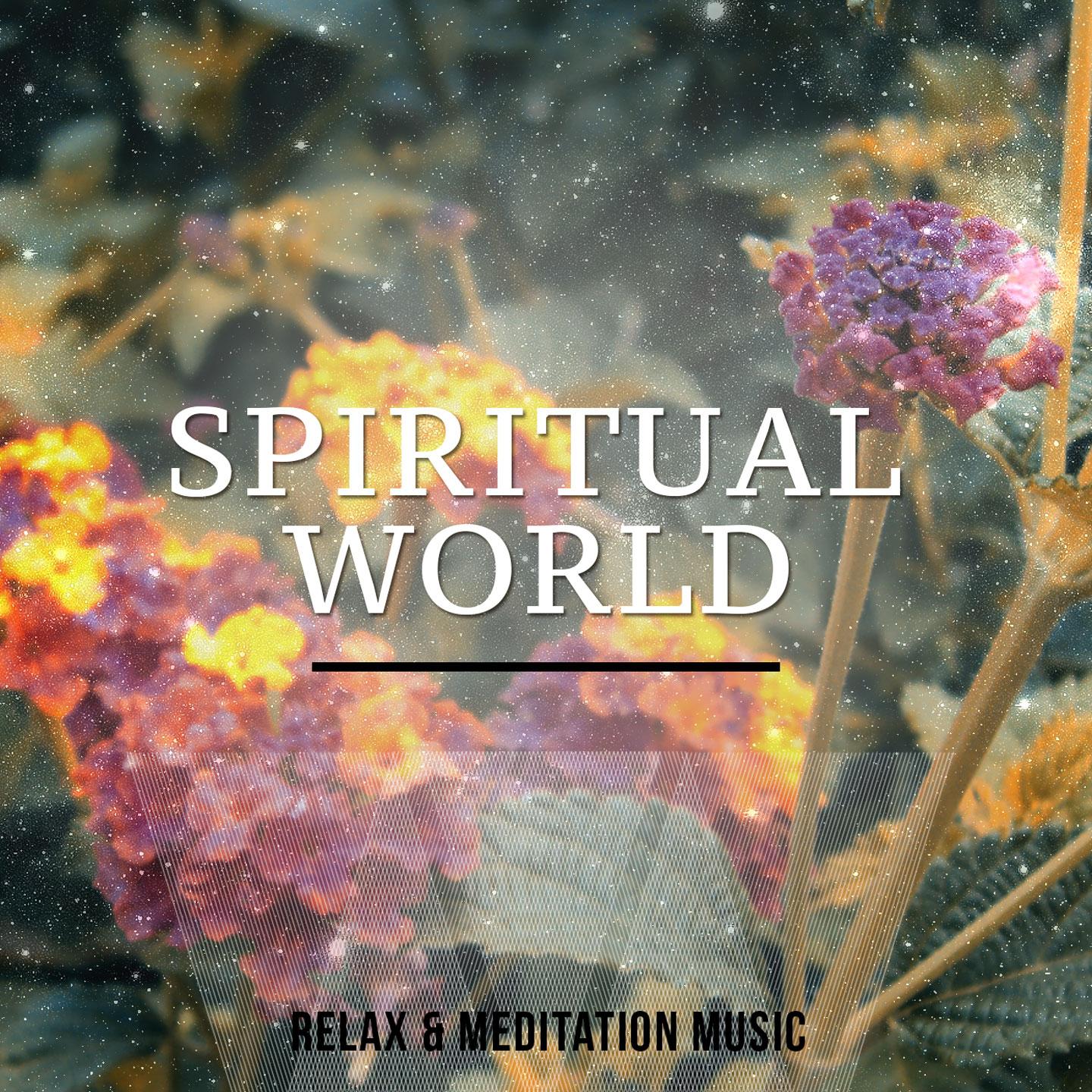 Постер альбома Spiritual World, Vol. 1