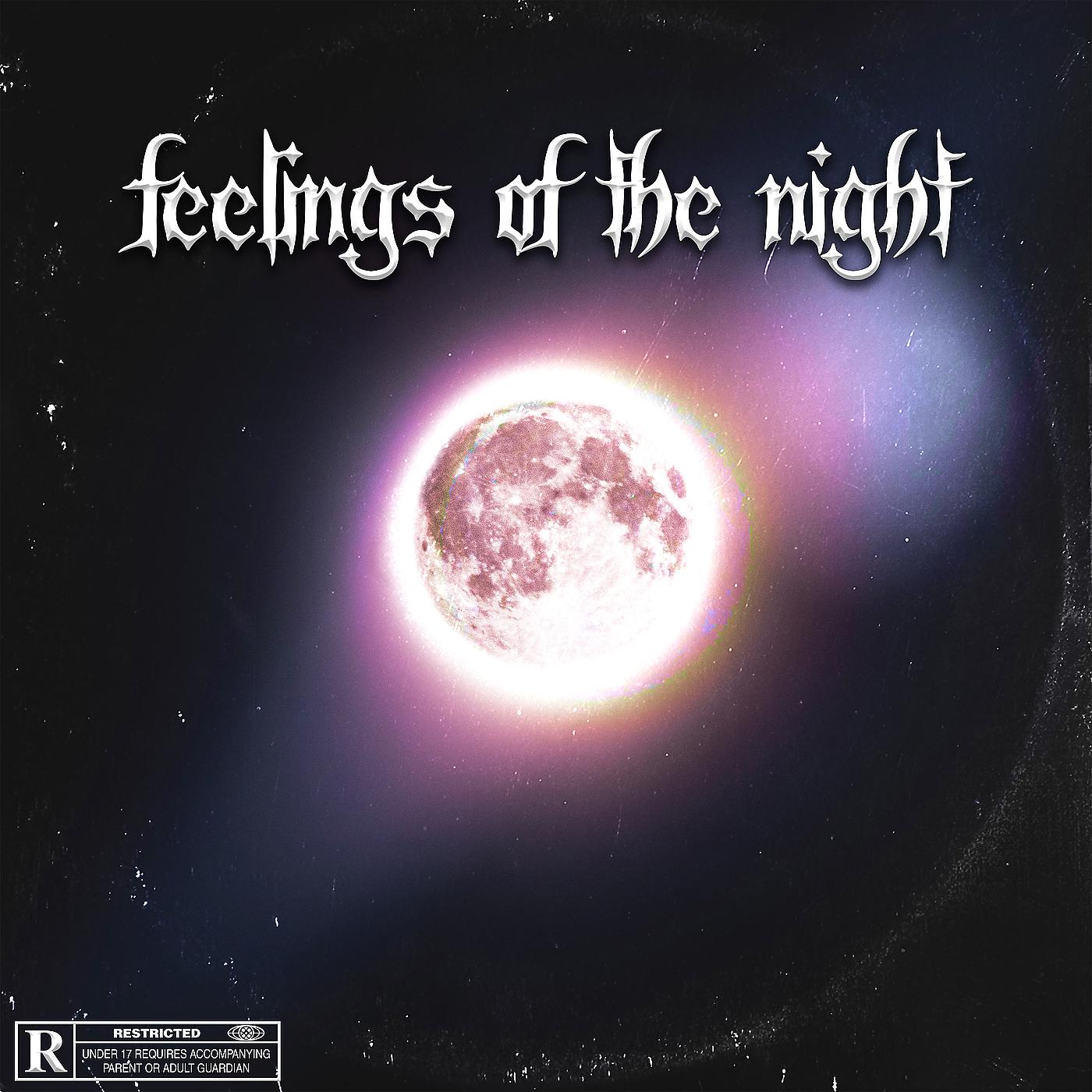Постер альбома Feelings of the Night