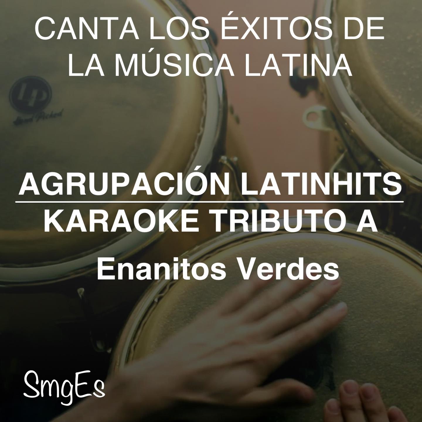 Agrupacion LatinHits - El Extraño de Pelo Largo