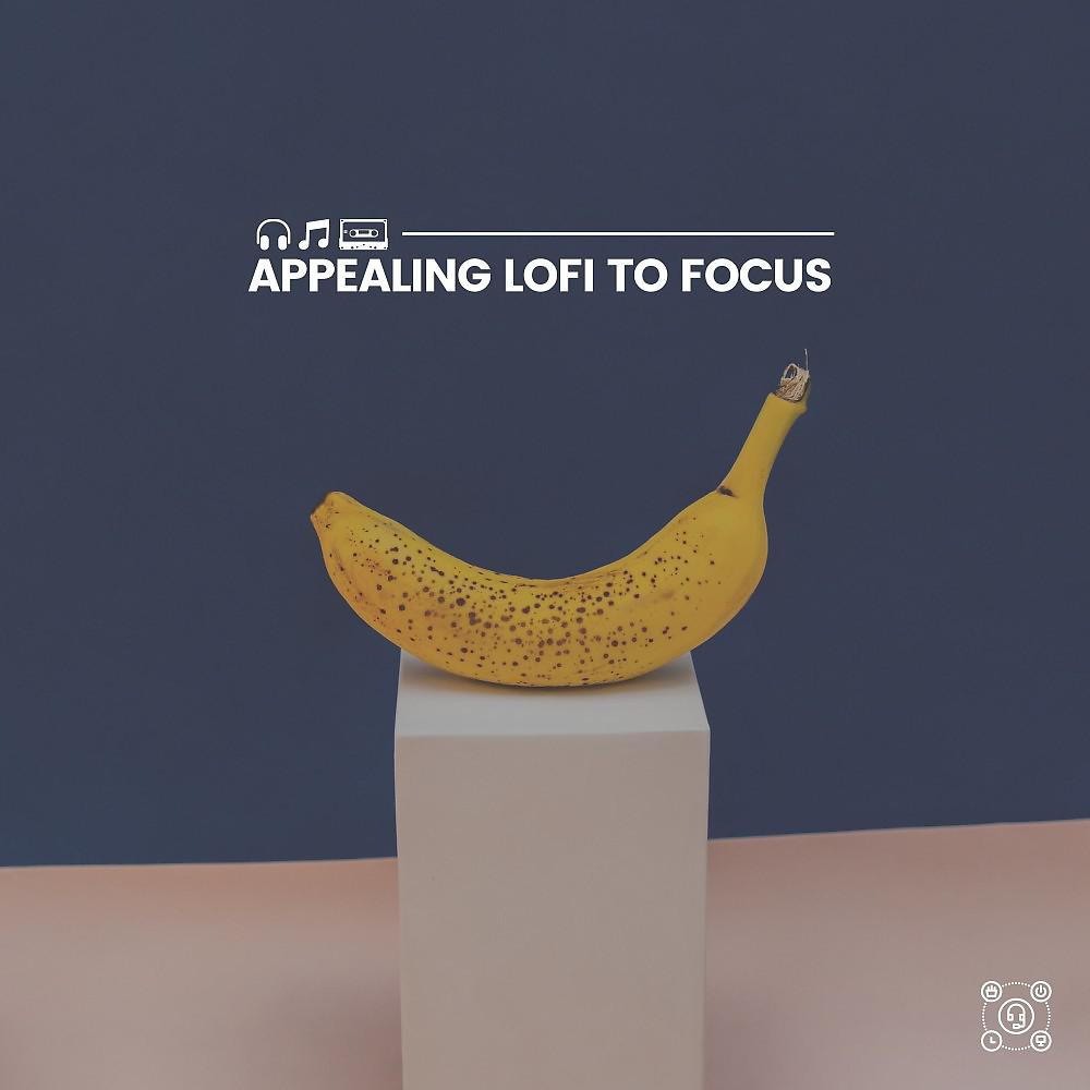 Постер альбома Appealing Lofi to Focus