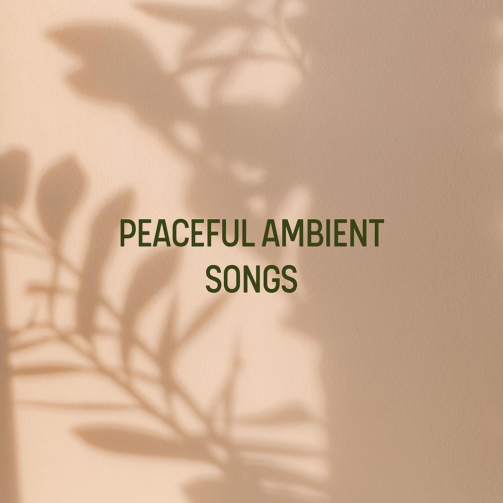 Постер альбома Peaceful Ambient Songs