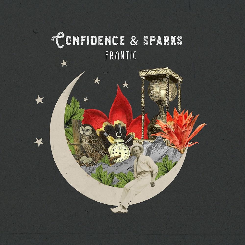 Постер альбома Confidence & Sparks