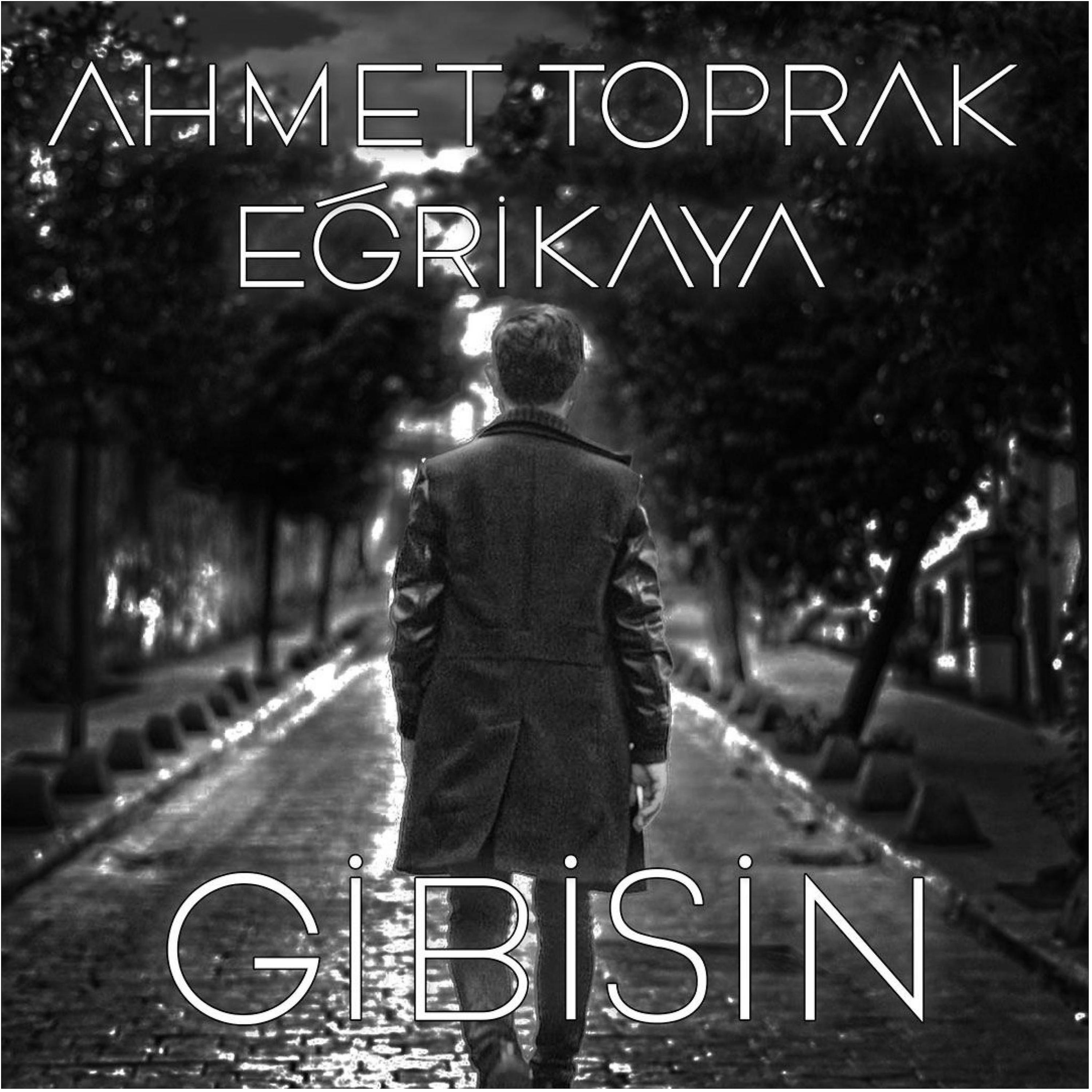 Постер альбома Gibisin