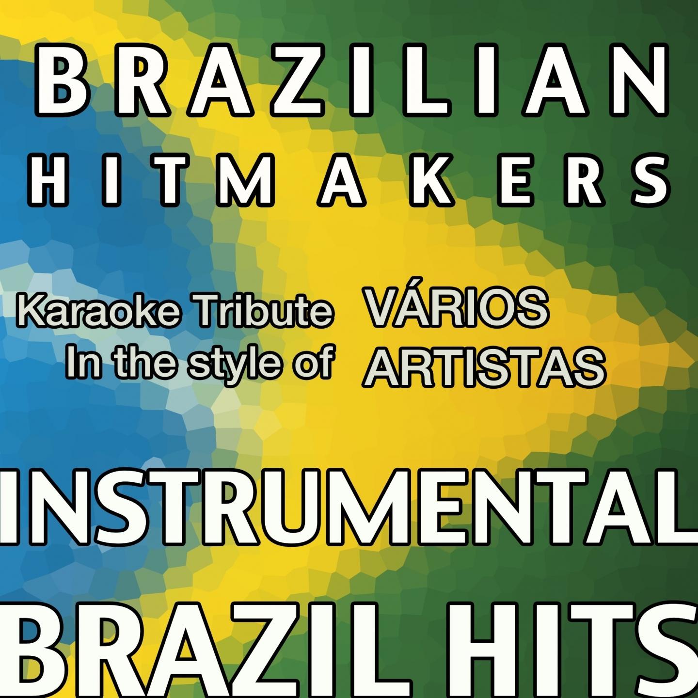 Постер альбома Brazilian Hits Ringtones Vol. 13