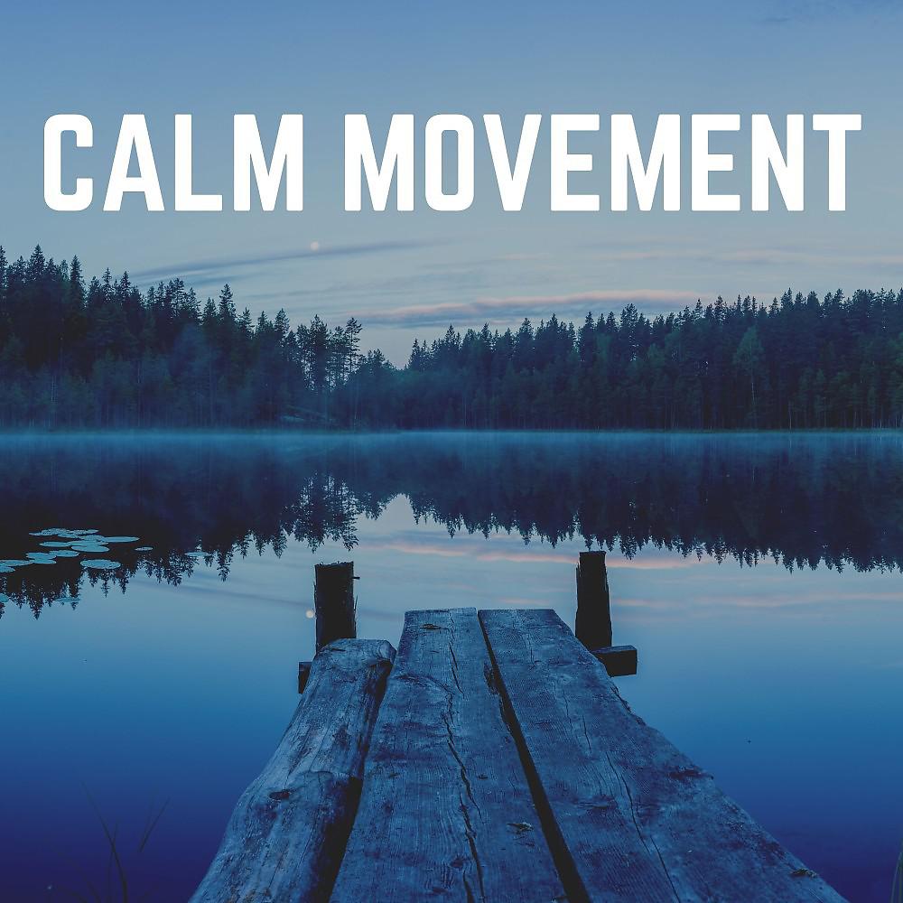 Постер альбома Calm Movement