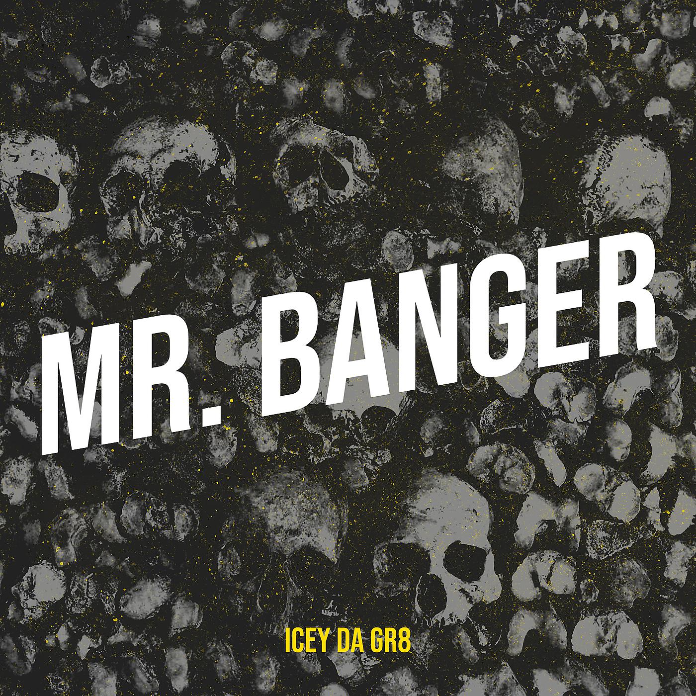 Постер альбома Mr. Banger