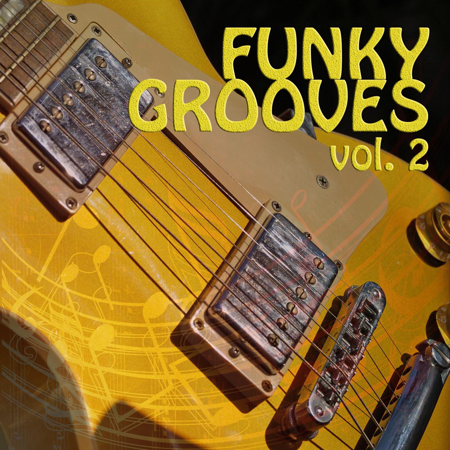 Постер альбома Funky Grooves, Vol. 2