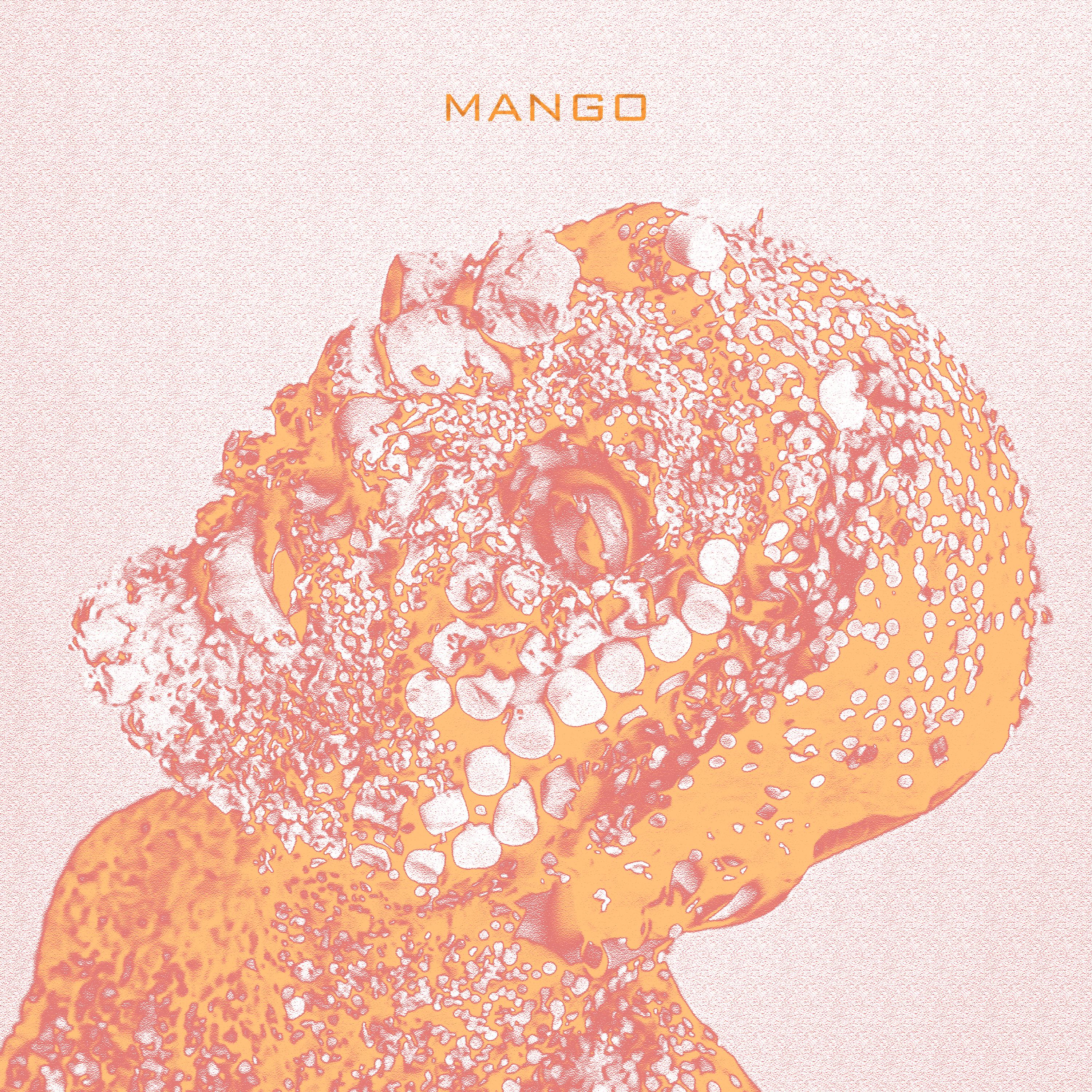 Постер альбома MANGO