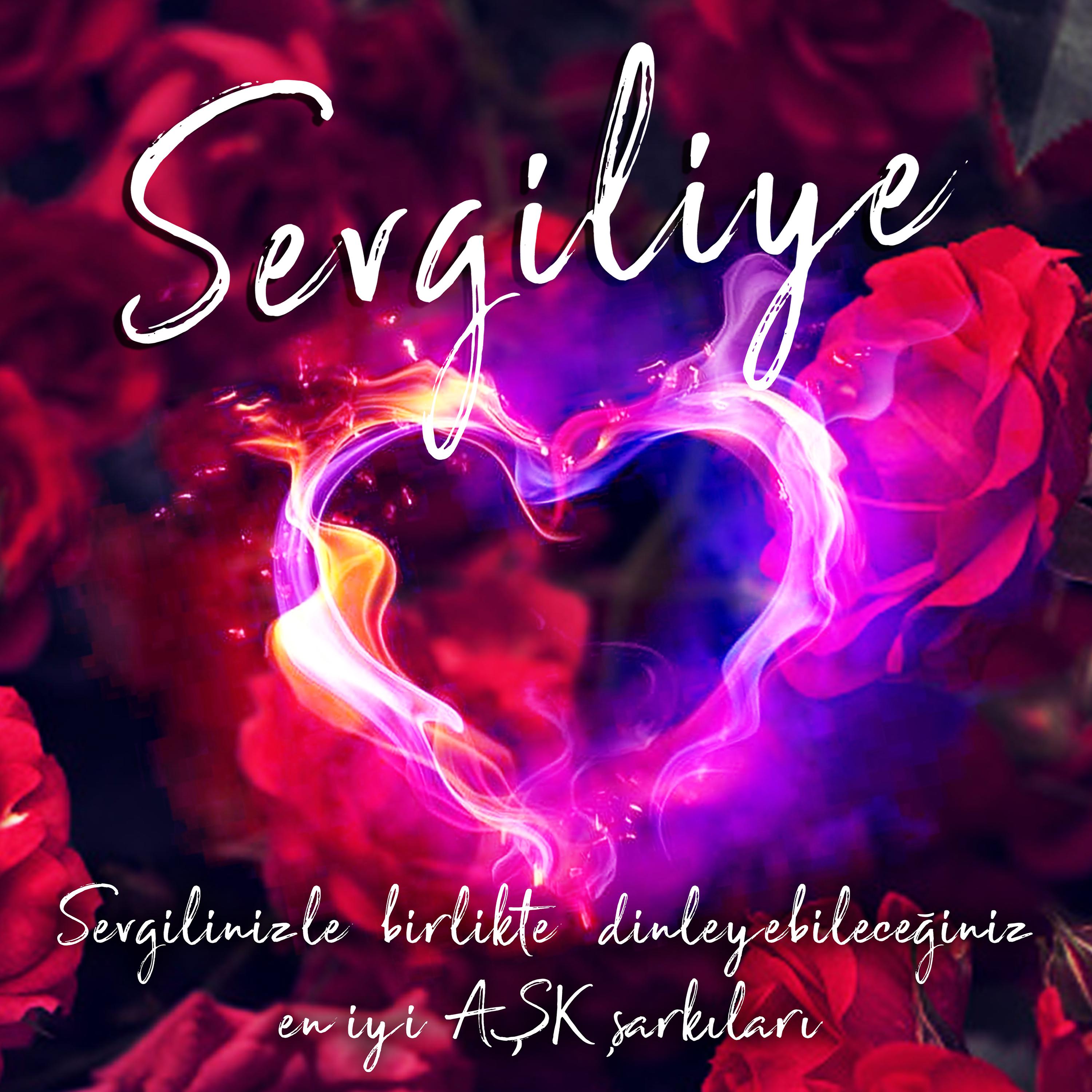 Постер альбома Aşk Şarkıları