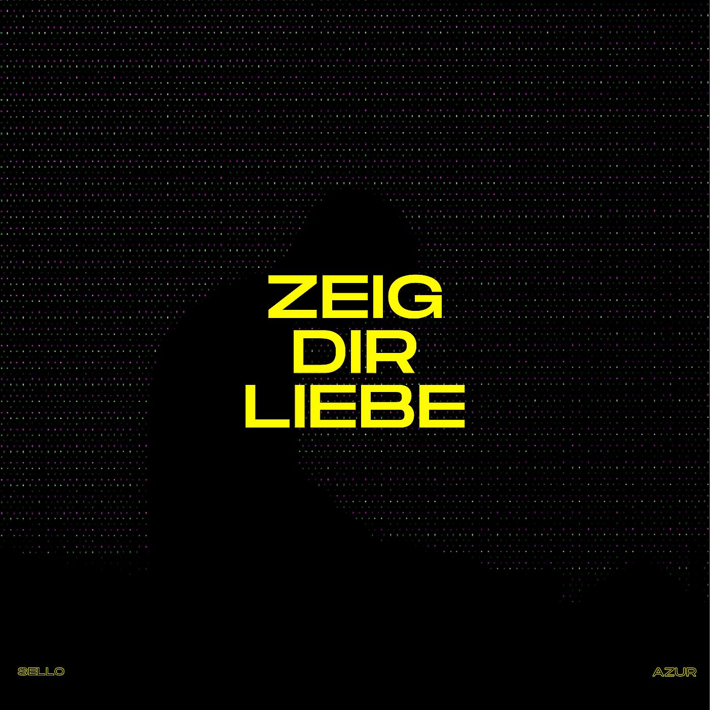 Постер альбома Zeig Dir Liebe