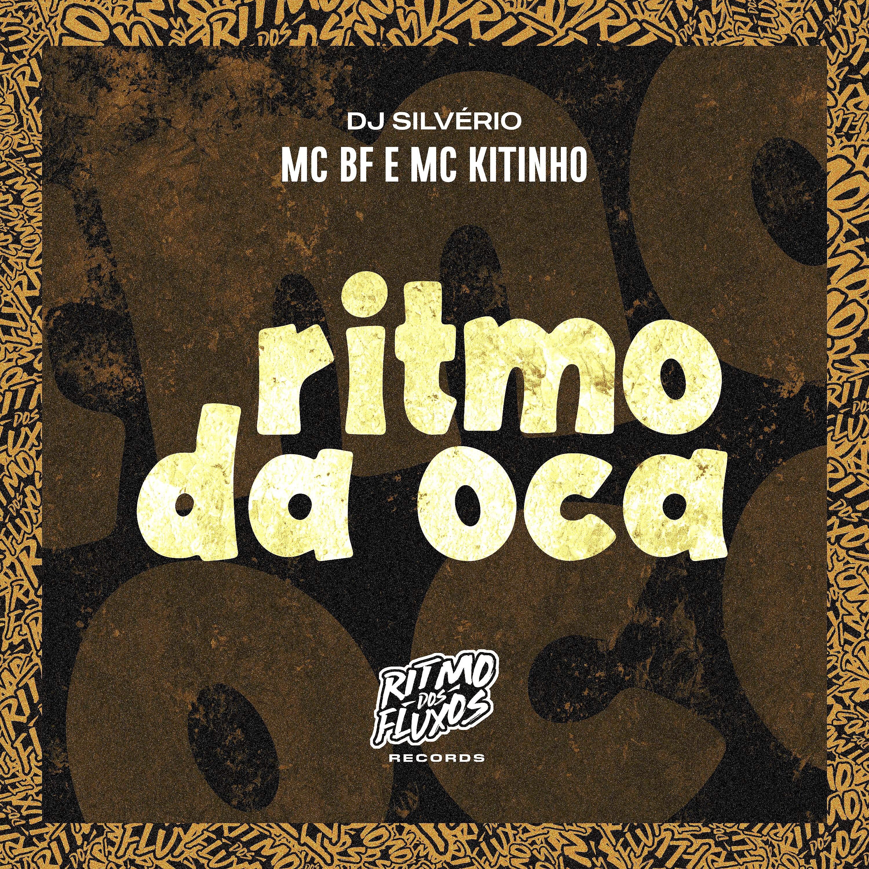 Постер альбома Ritmo da Oca