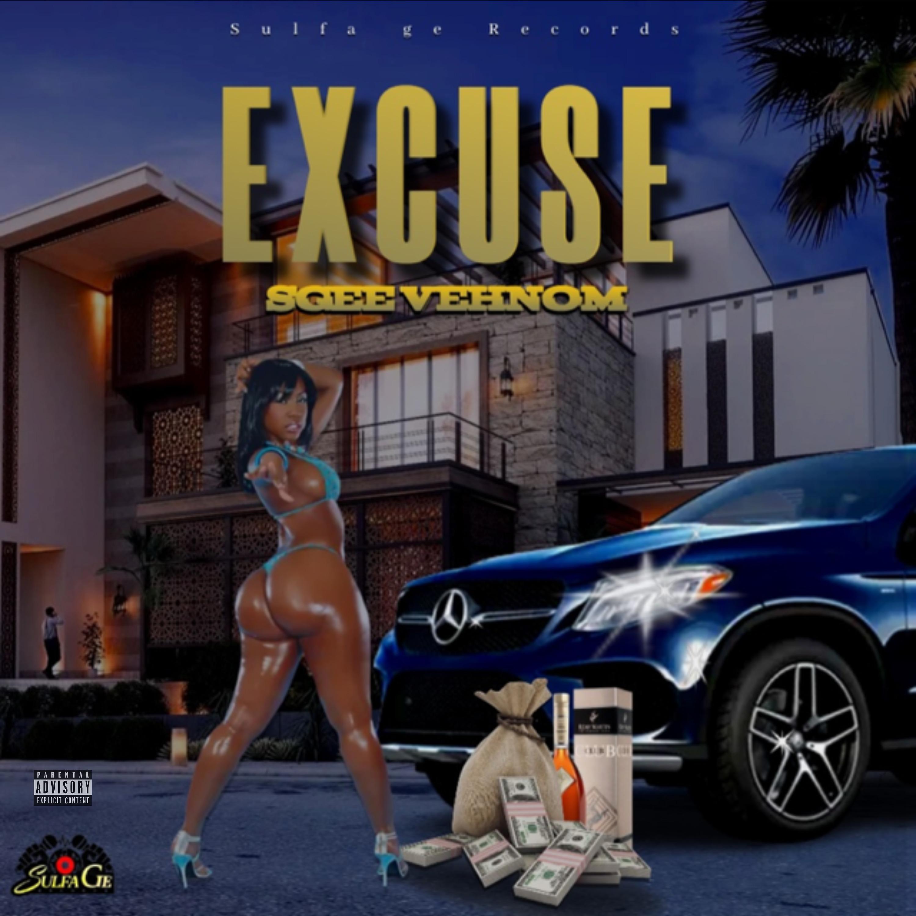 Постер альбома Excuse