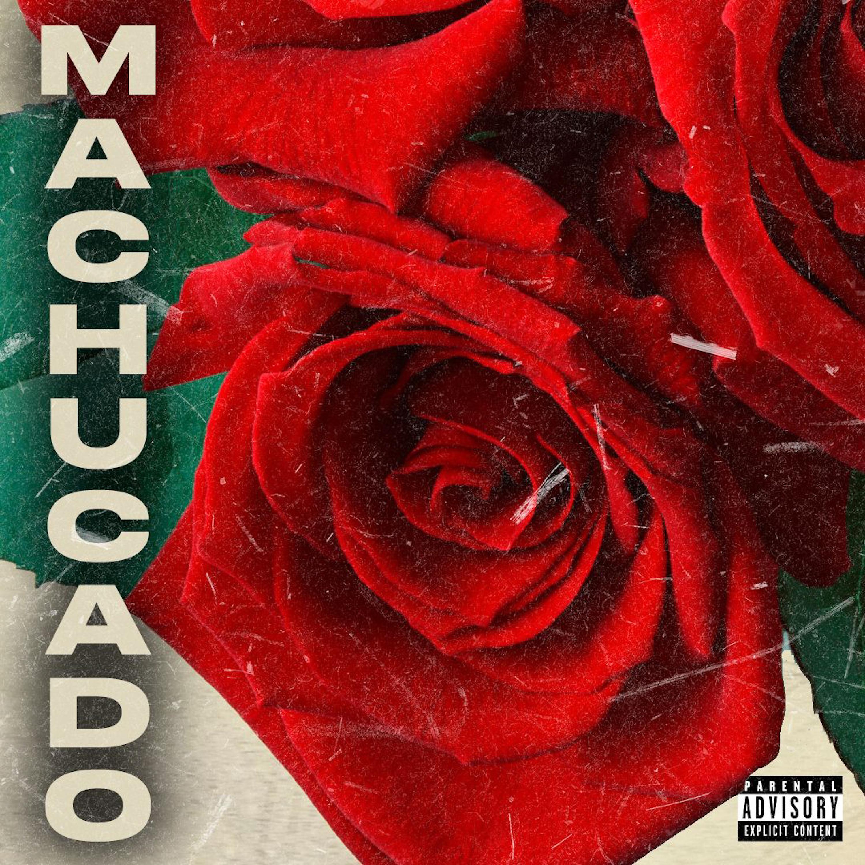 Постер альбома Machucado