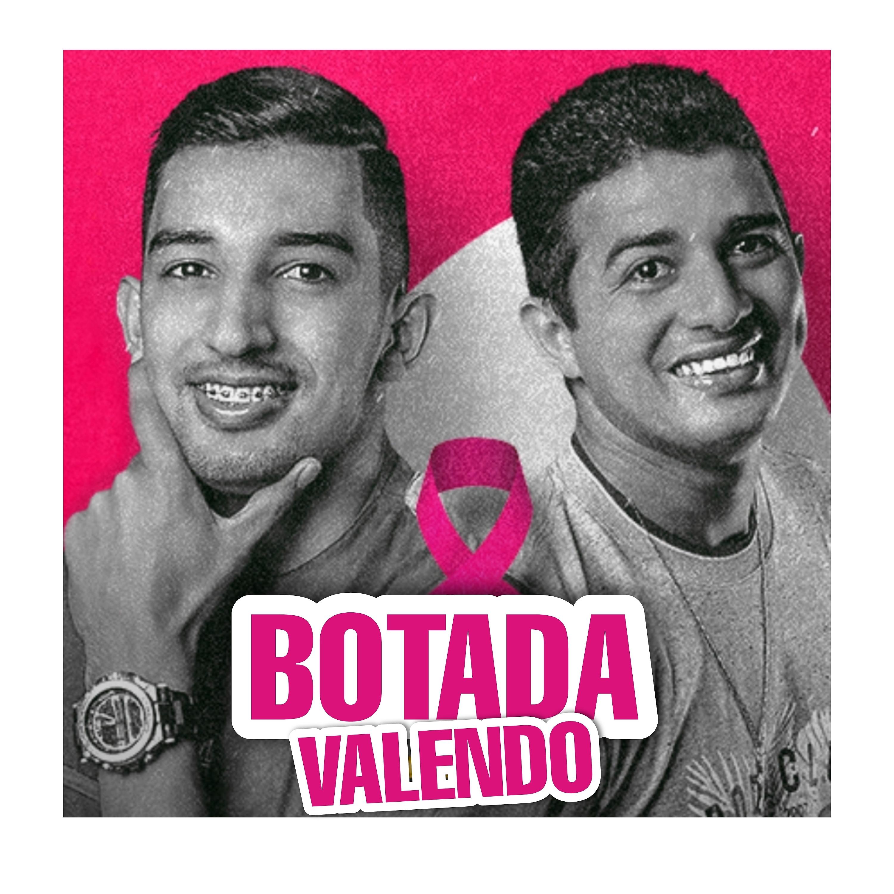 Постер альбома Botada Valendo