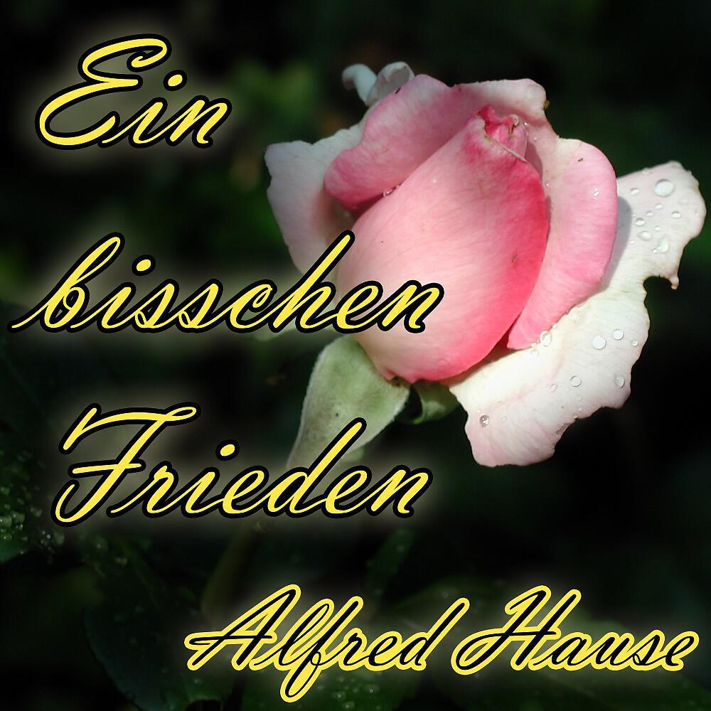 Alfred Hause - Ave Verum Corpus, K. 618 in D-Dur