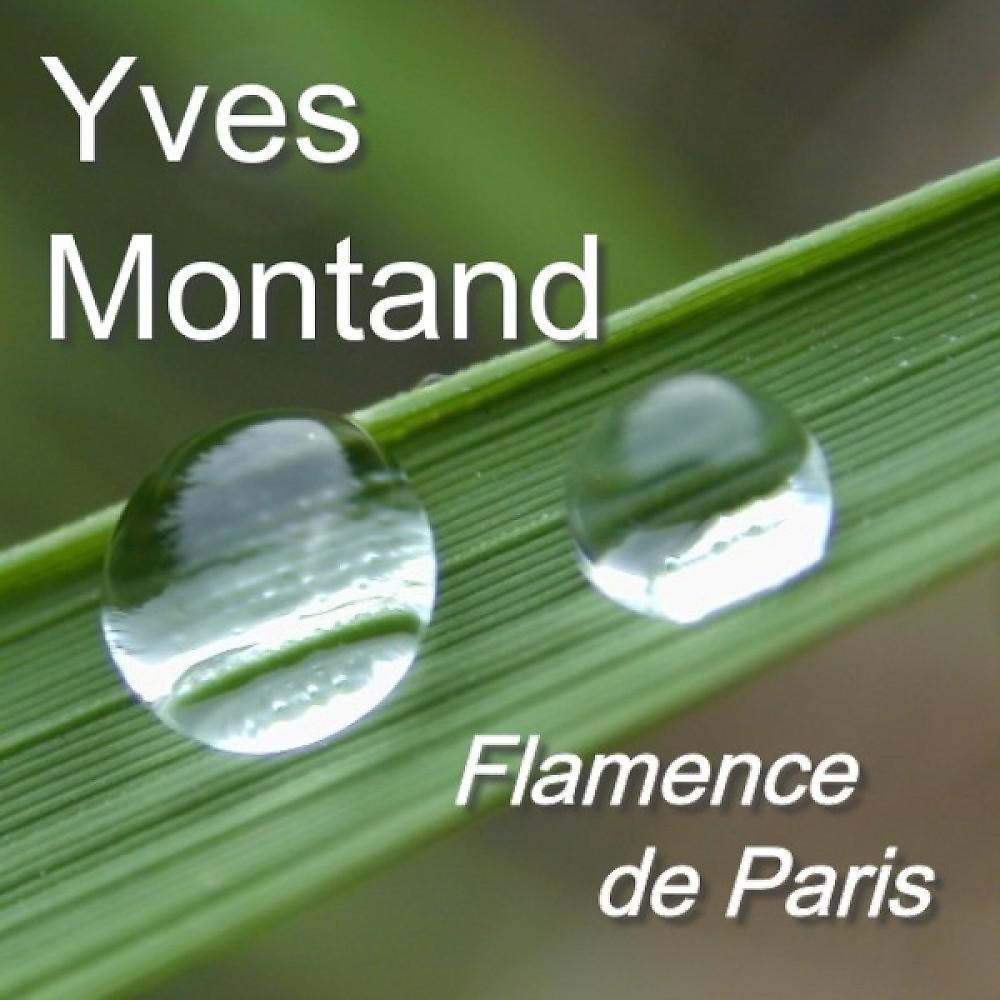 Постер альбома Flamence De Paris